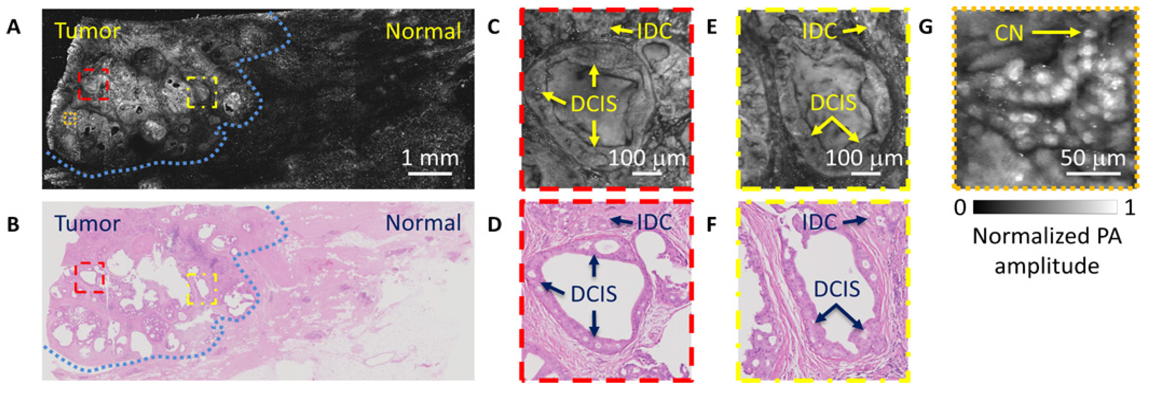 Sensors 20 05595 g002 Sensors 20 05595 g002