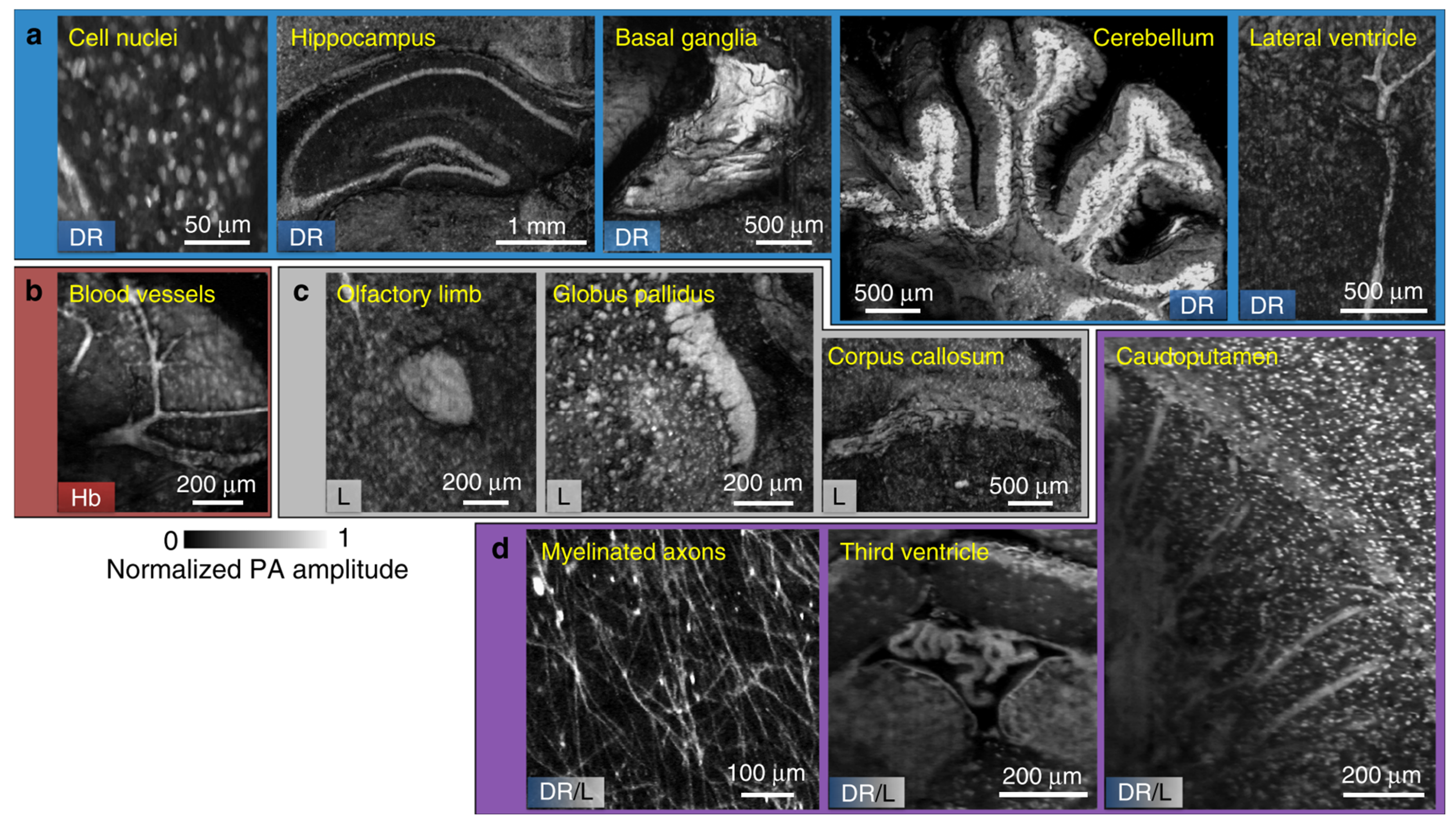 Sensors 20 05595 g004 Sensors 20 05595 g004
