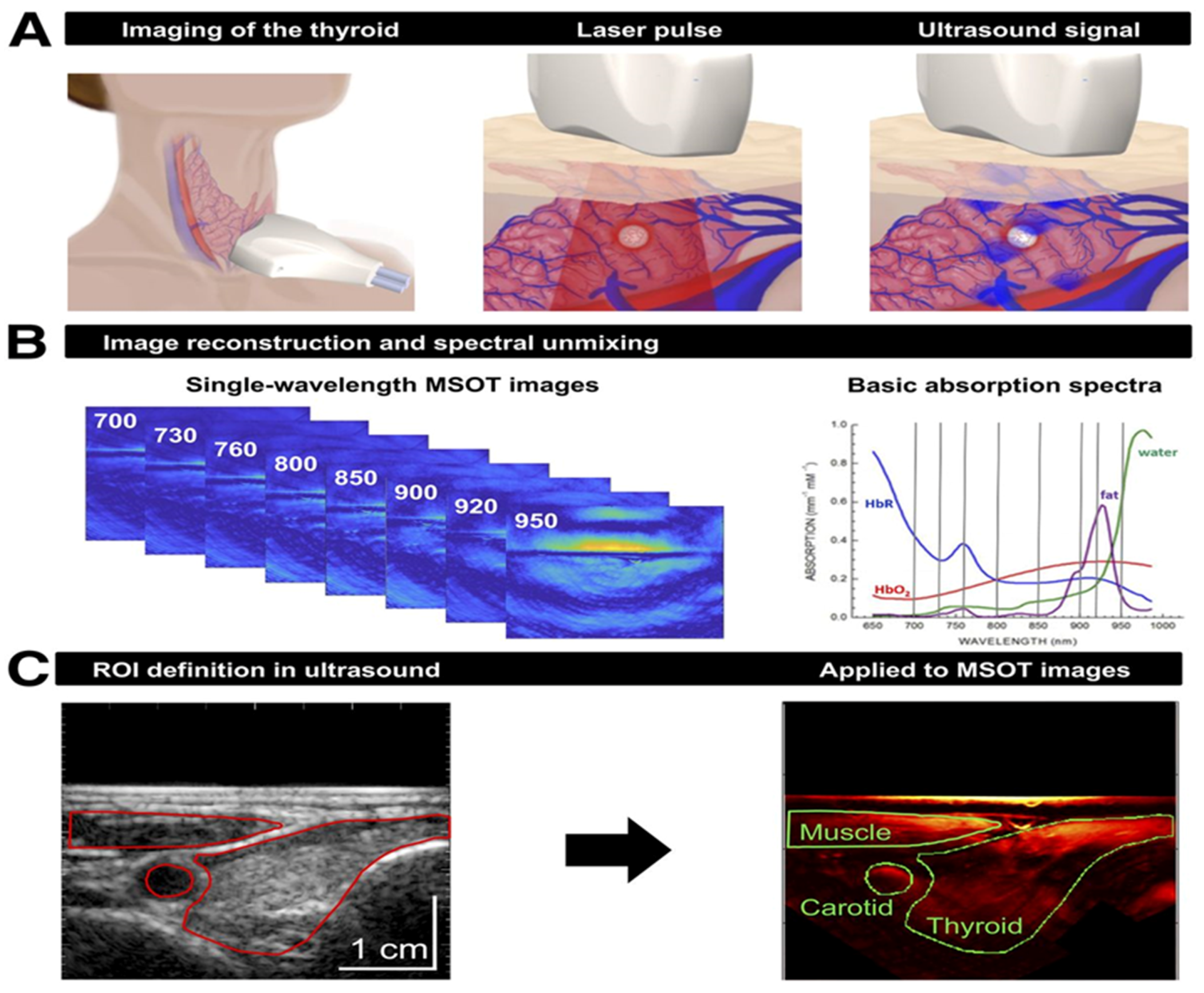 Sensors 20 05595 g005 Sensors 20 05595 g005