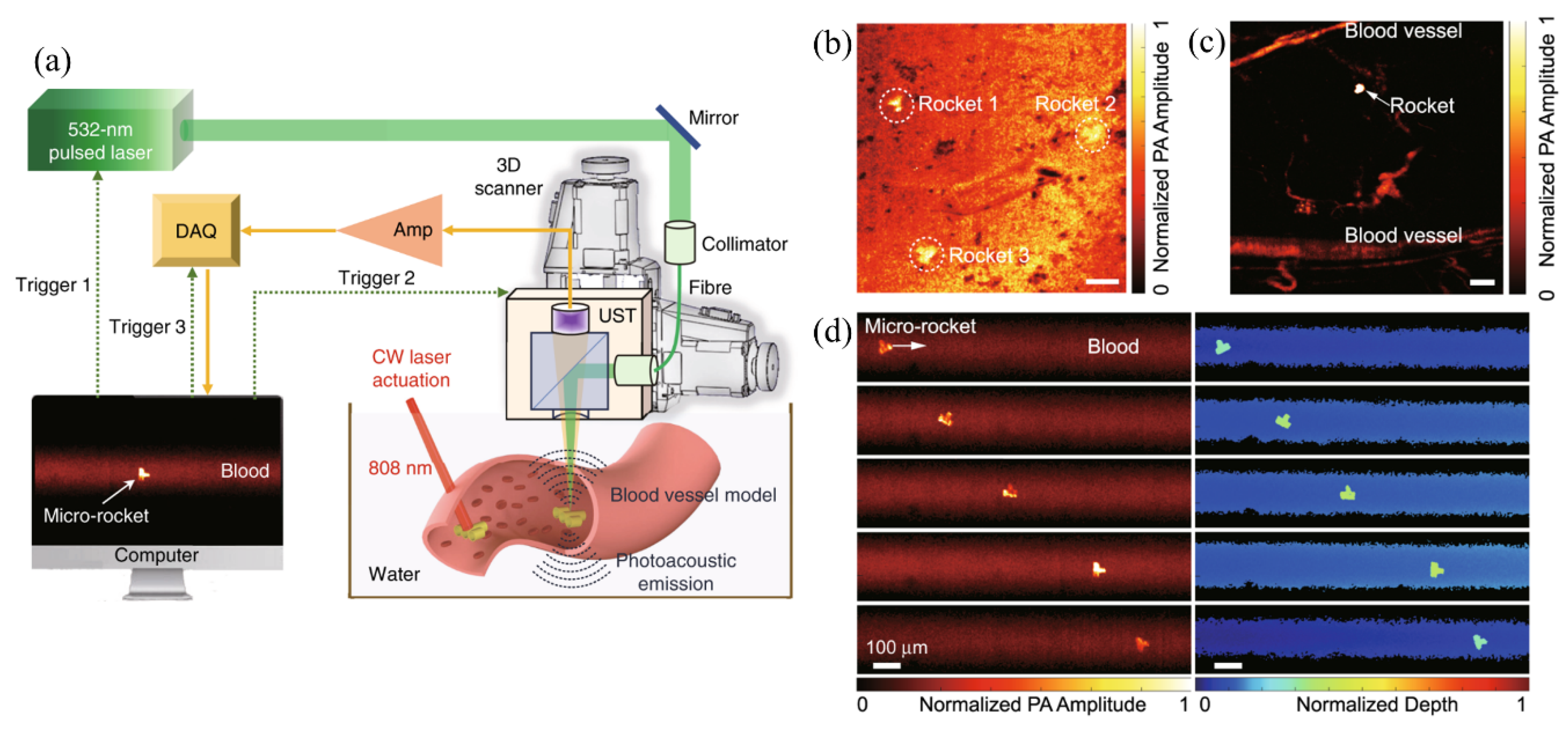 Sensors 20 05595 g011 Sensors 20 05595 g011