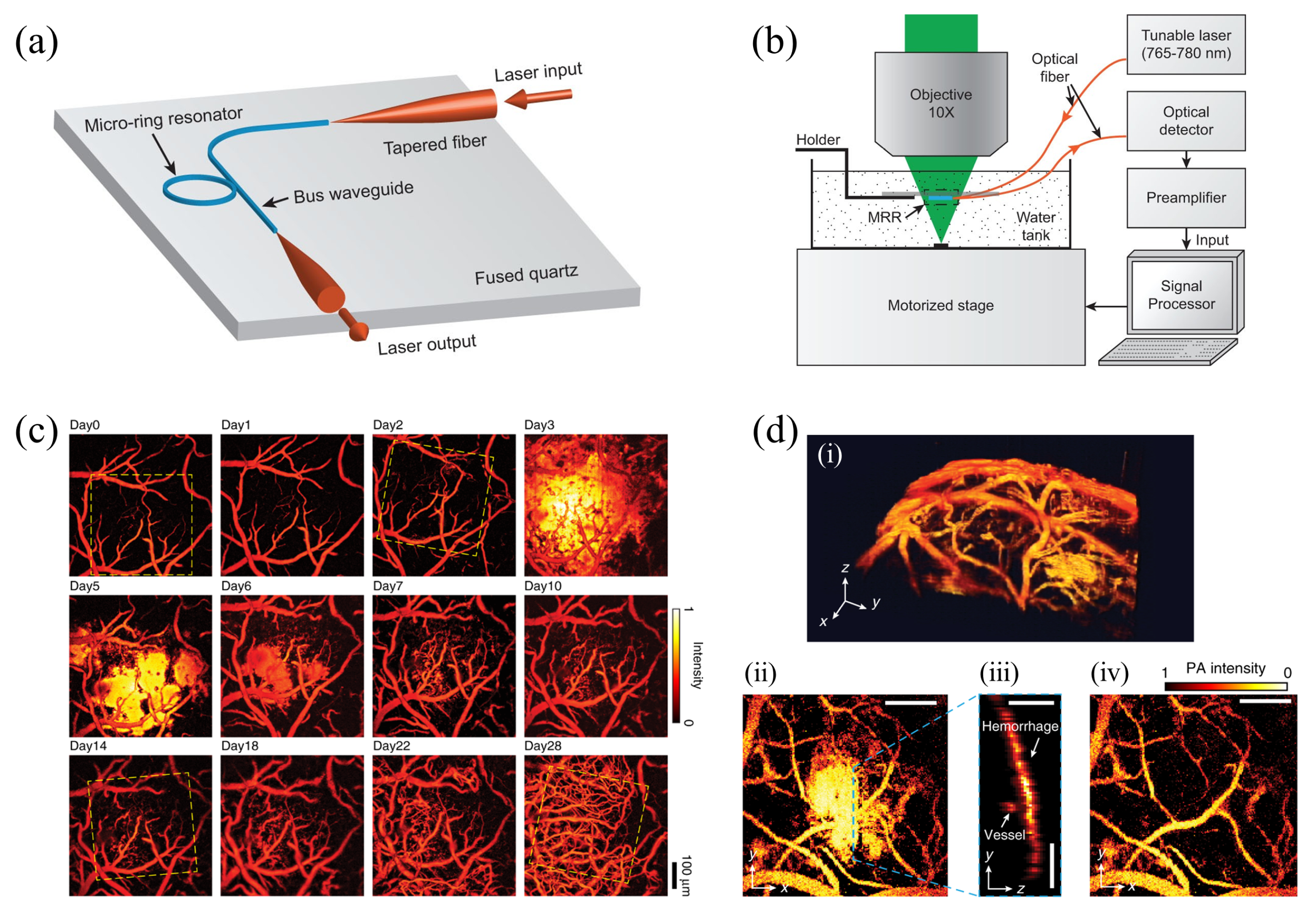 Sensors 20 05595 g012 Sensors 20 05595 g012