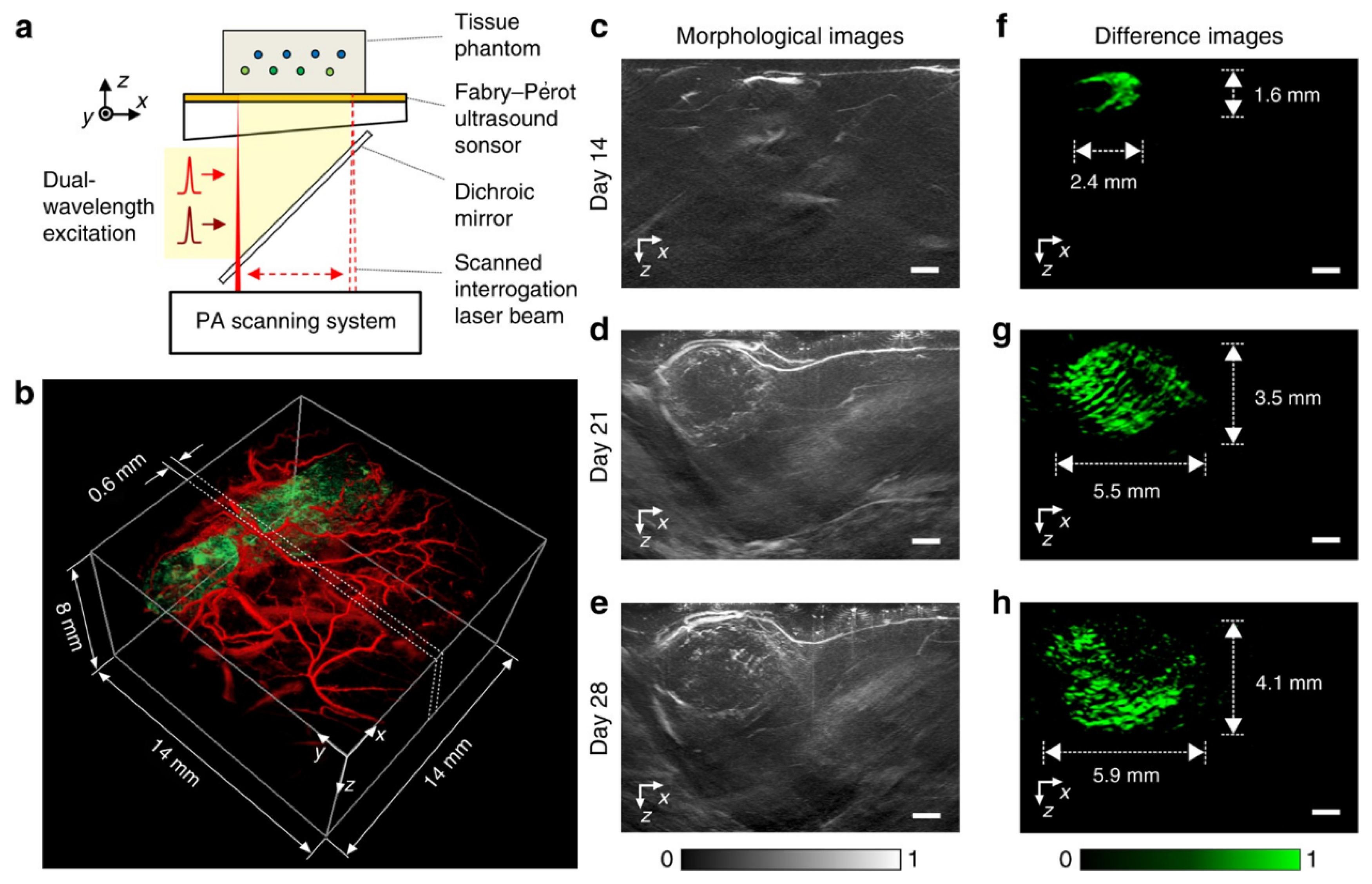 Sensors 20 05595 g014 Sensors 20 05595 g014