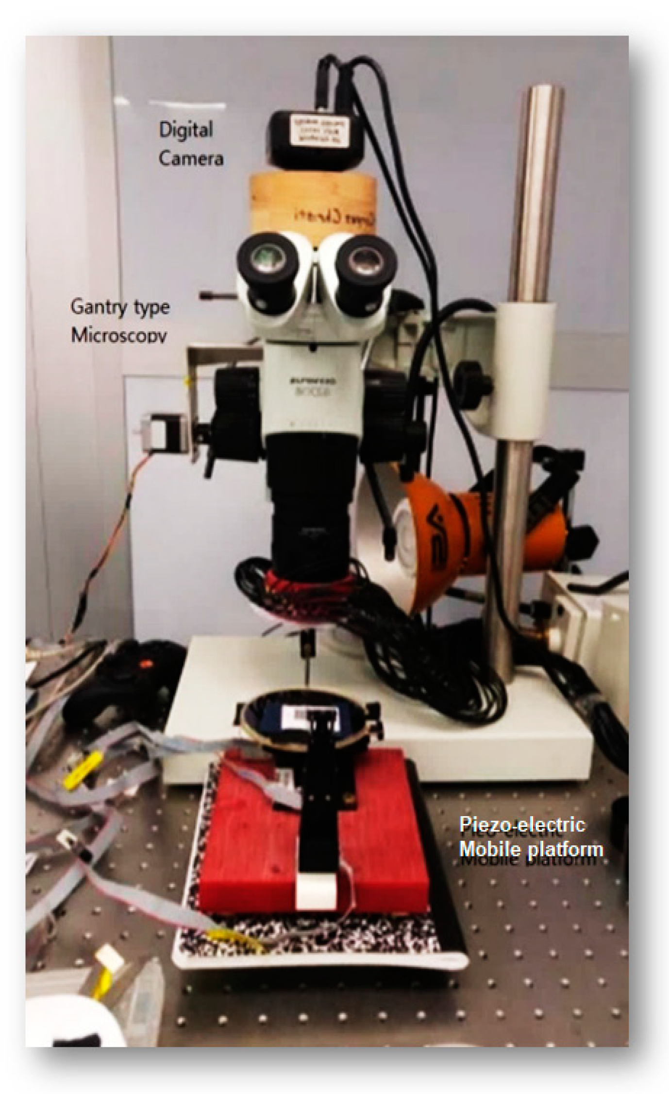 Sensors 20 05599 g003