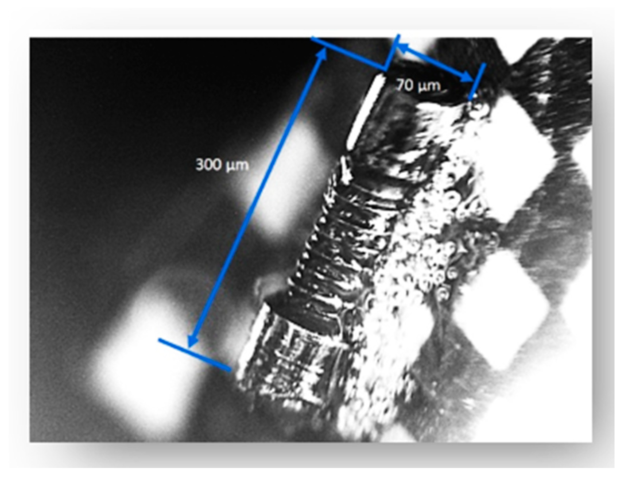 Sensors 20 05599 g006