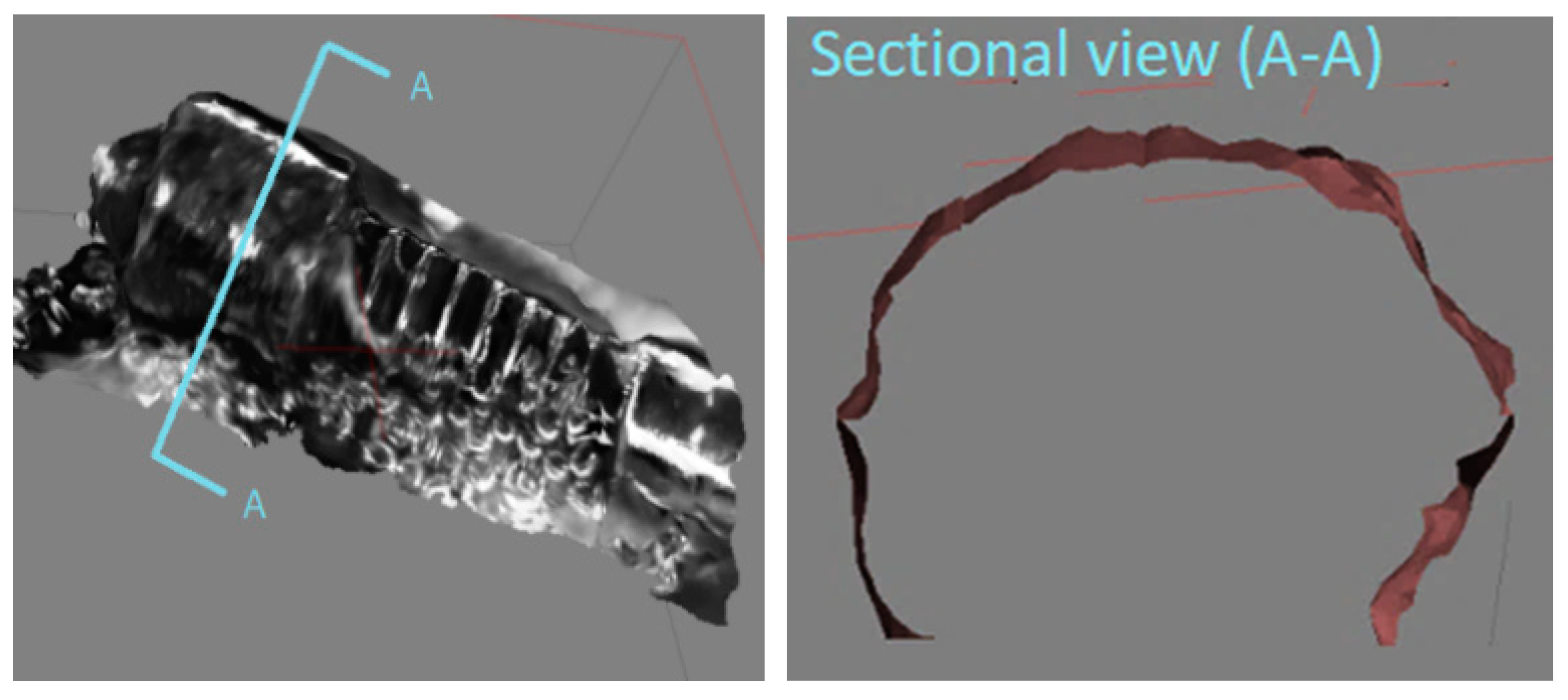 Sensors 20 05599 g010