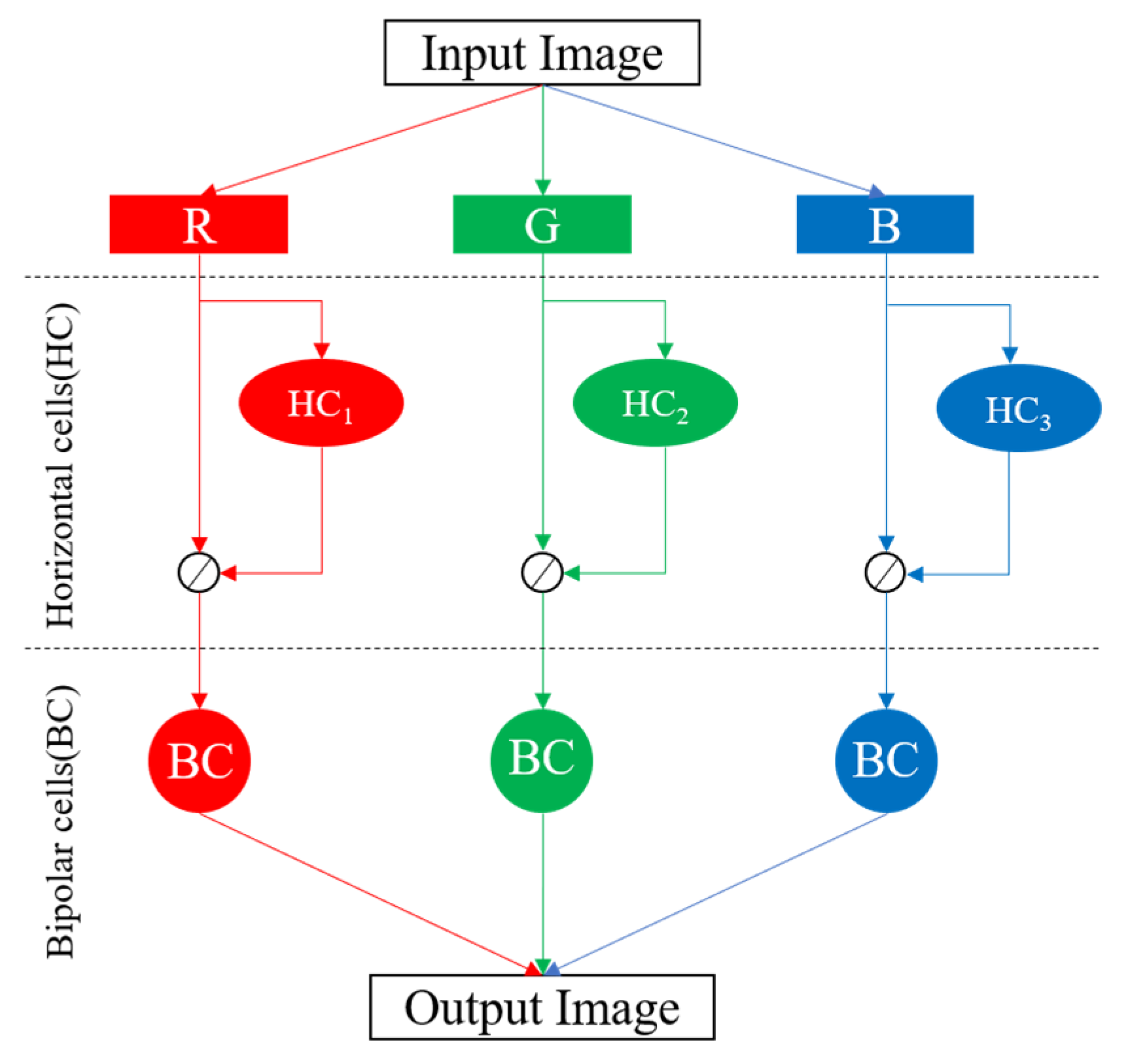 Sensors 20 05600 g001