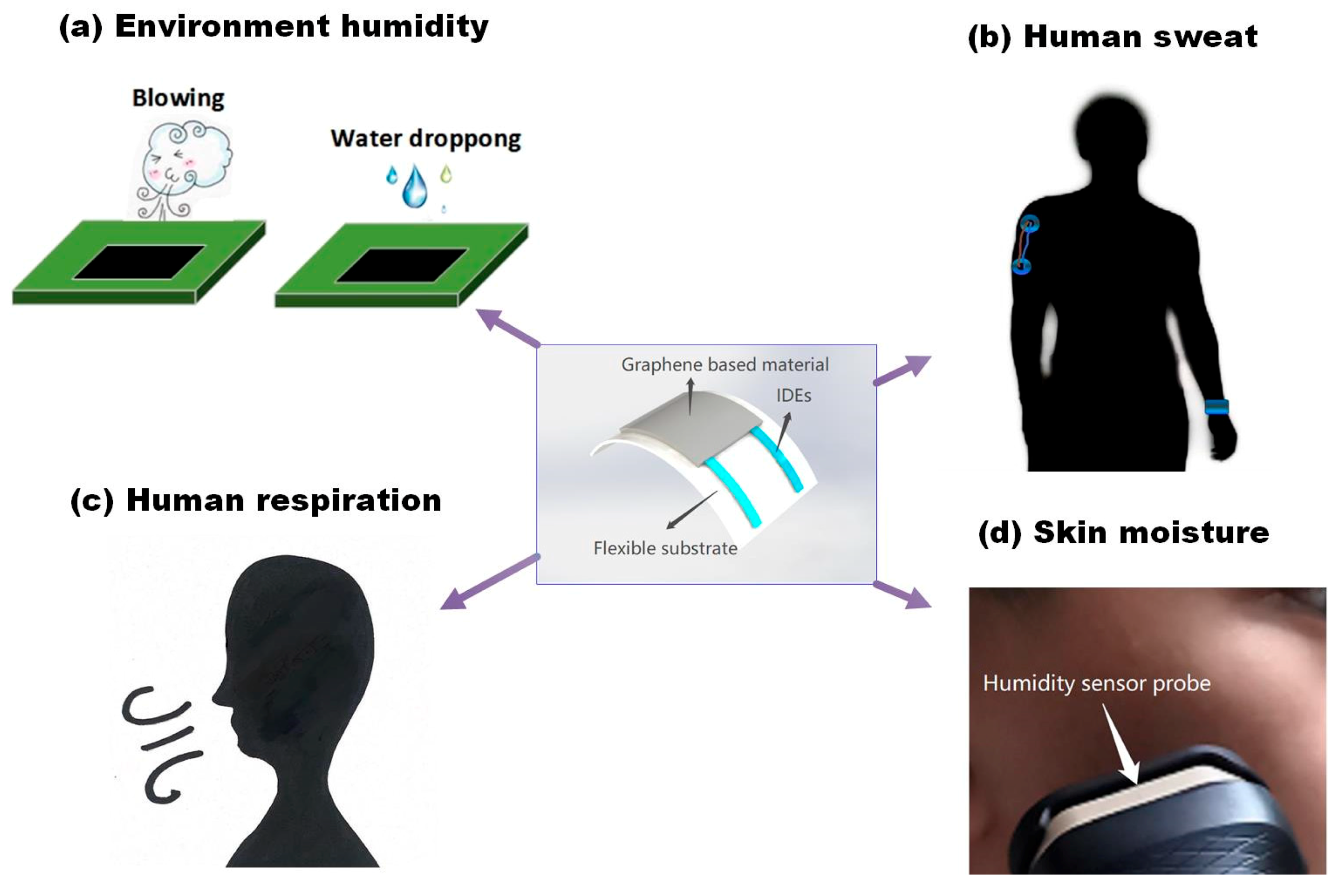 Sensors 20 05601 g003