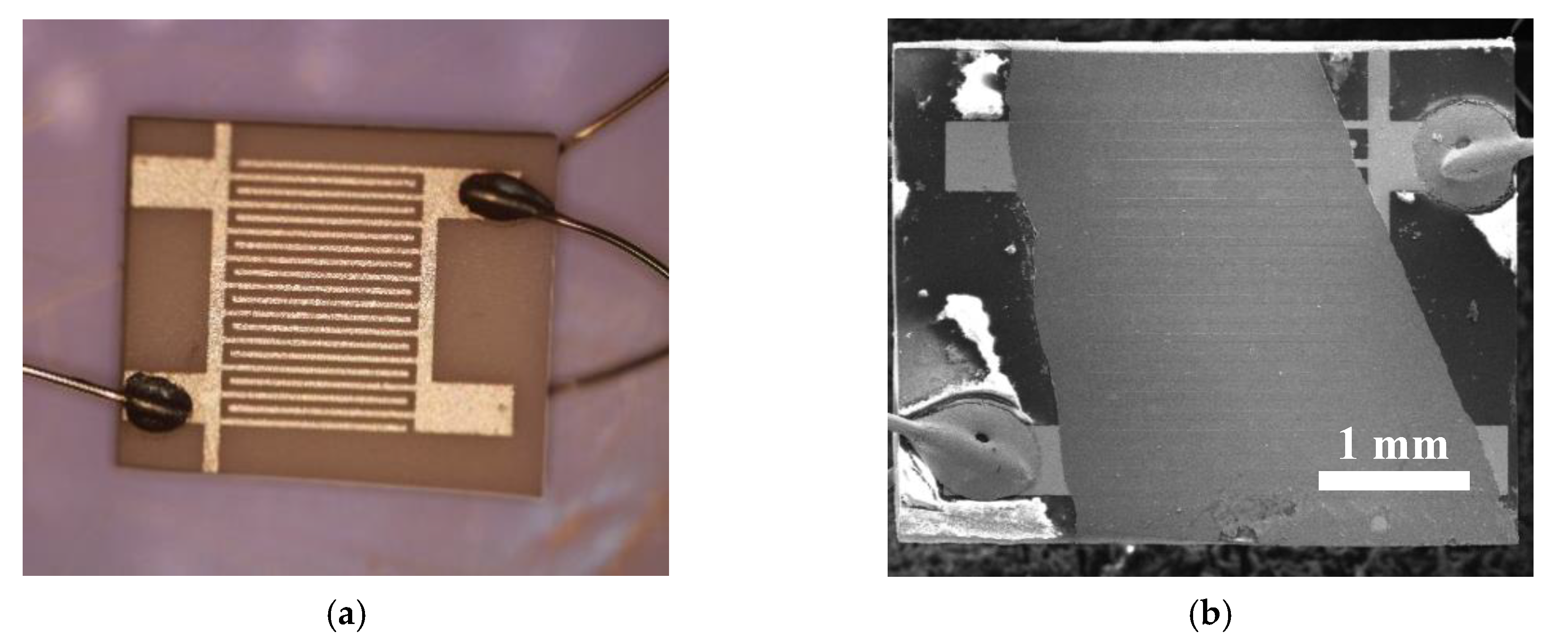 Sensors 20 05602 g001