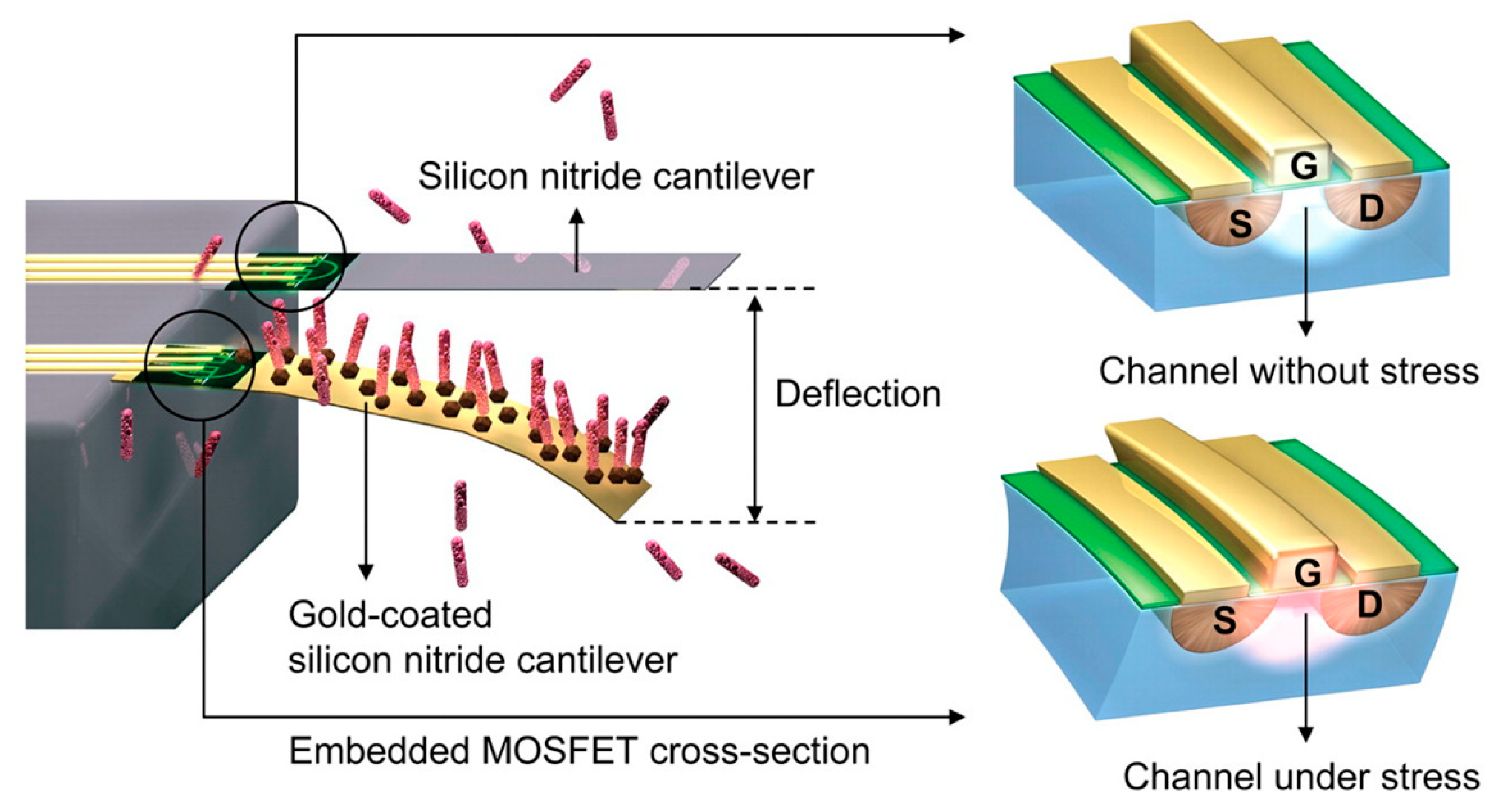 Sensors 20 05605 g003 Sensors 20 05605 g003