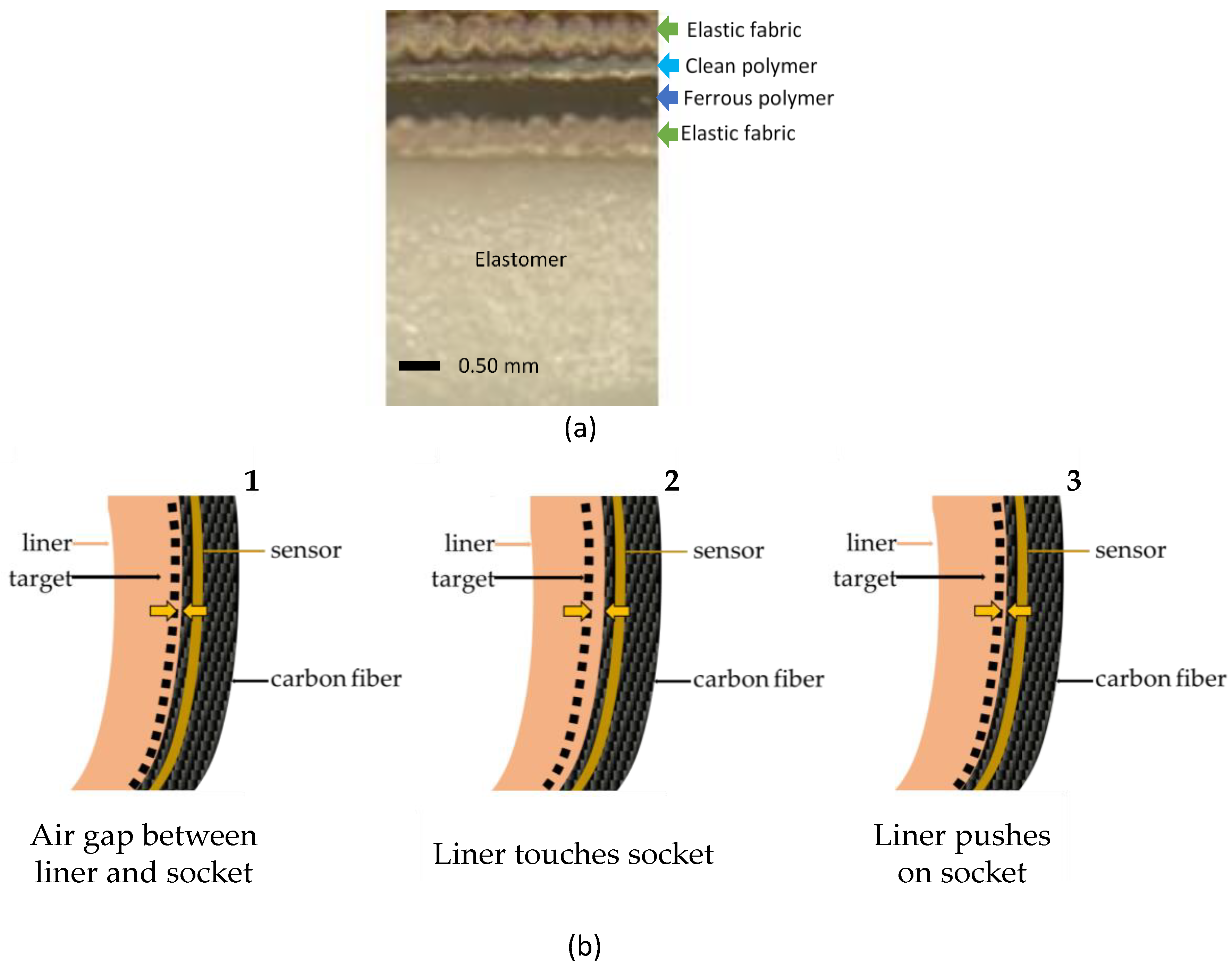 Sensors 20 05620 g001