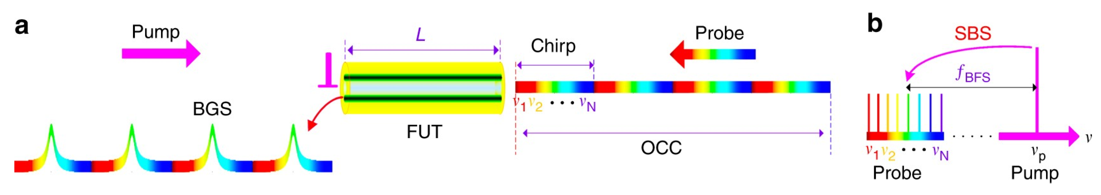 Sensors 20 05629 g023