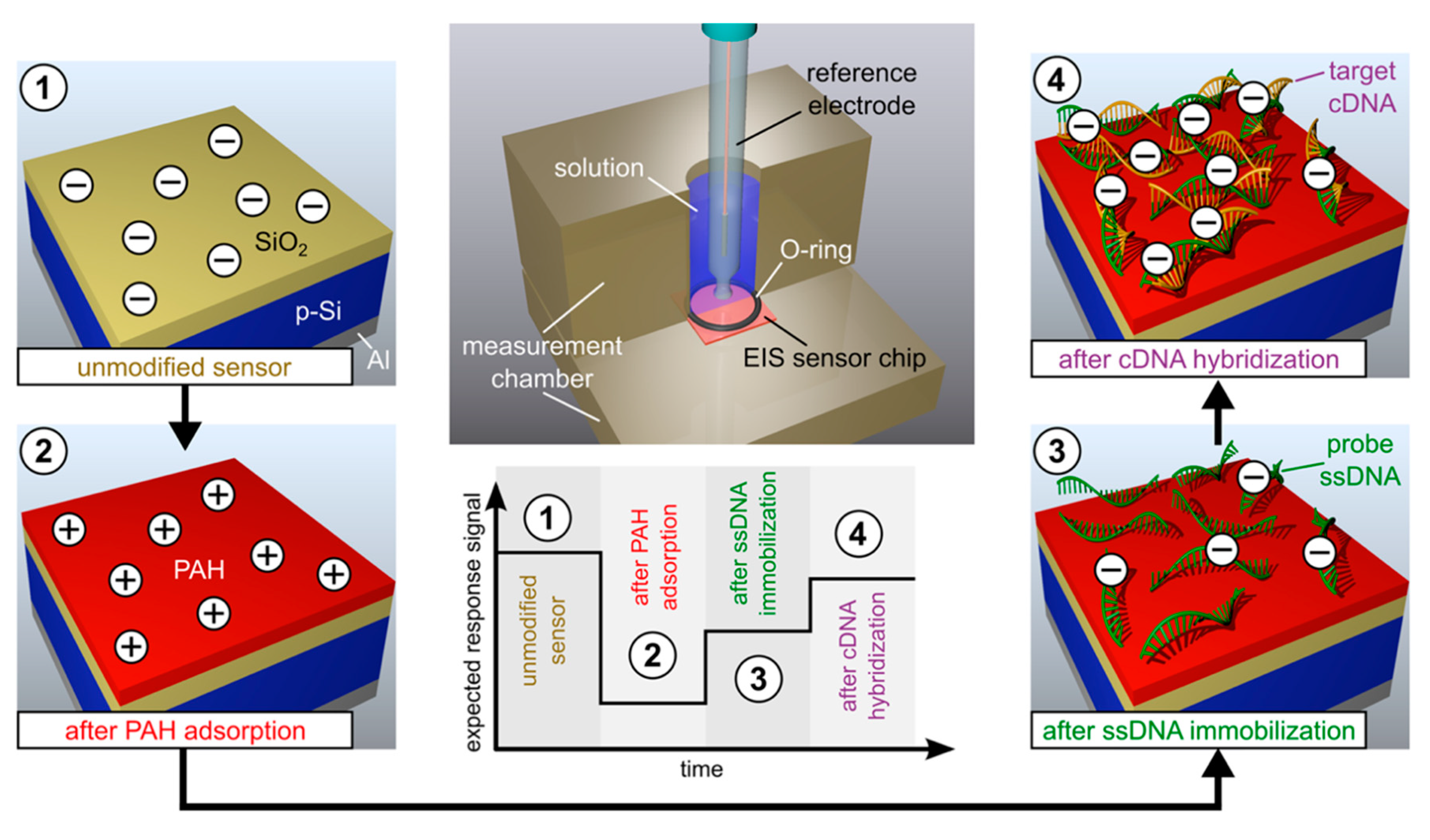 Sensors 20 05639 g005 Sensors 20 05639 g005