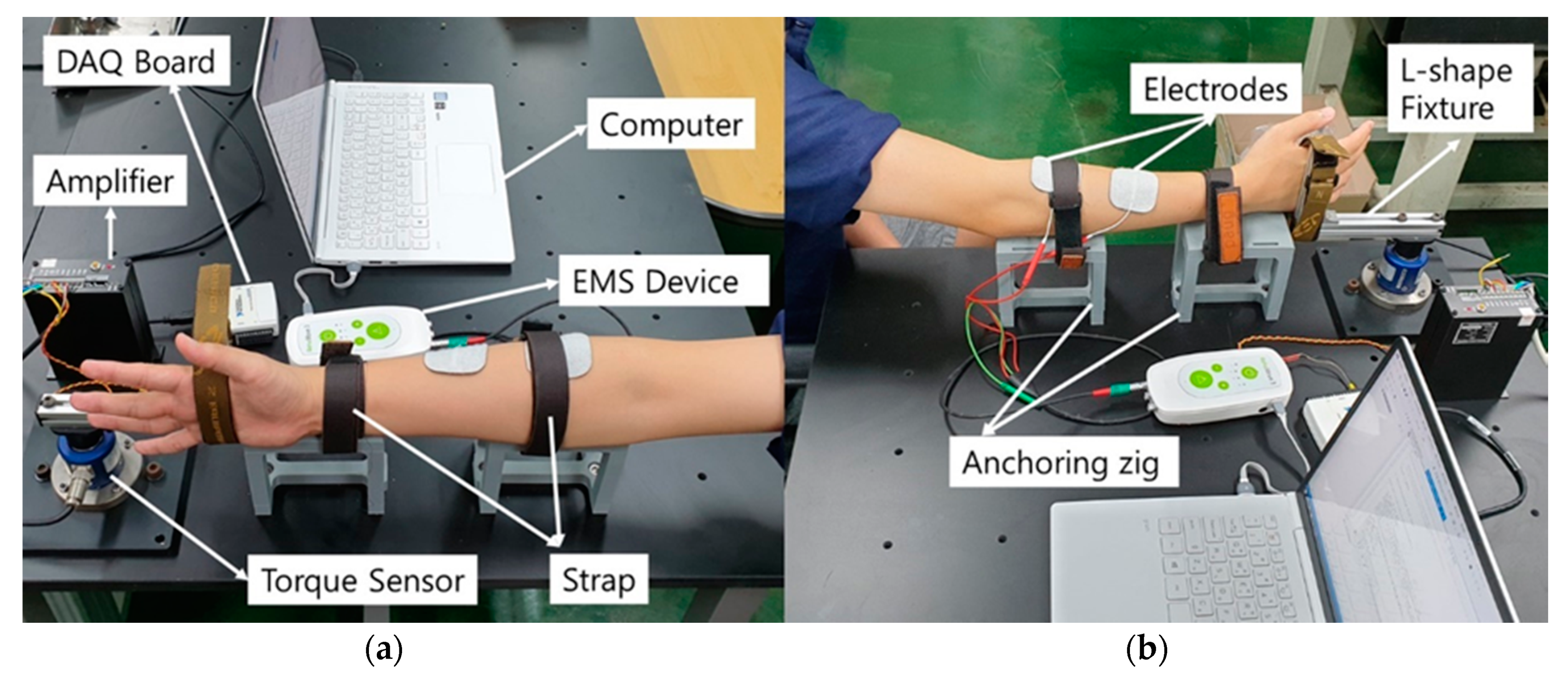 Sensors | Free Full-Text | Electrically Elicited Force Response  Characteristics of Forearm Extensor Muscles for Electrical Muscle  Stimulation-Based Haptic Rendering | HTML