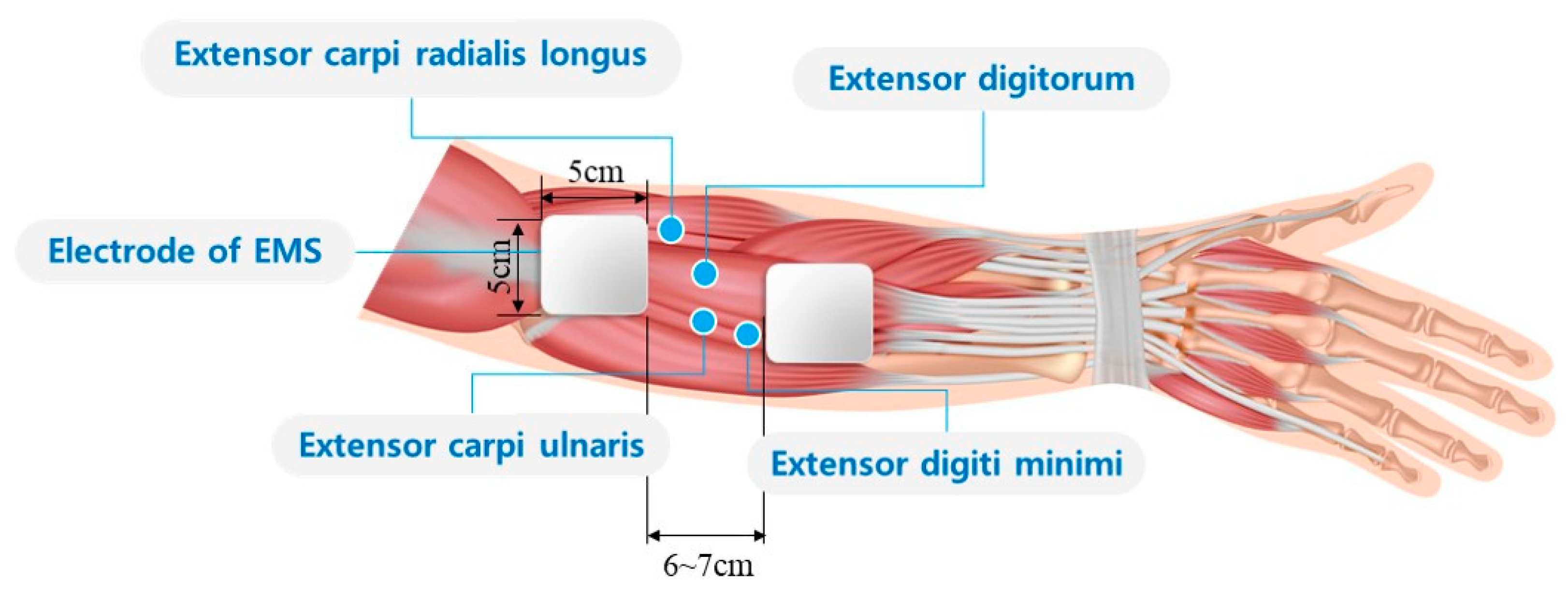 Sensors 20 05669 g005