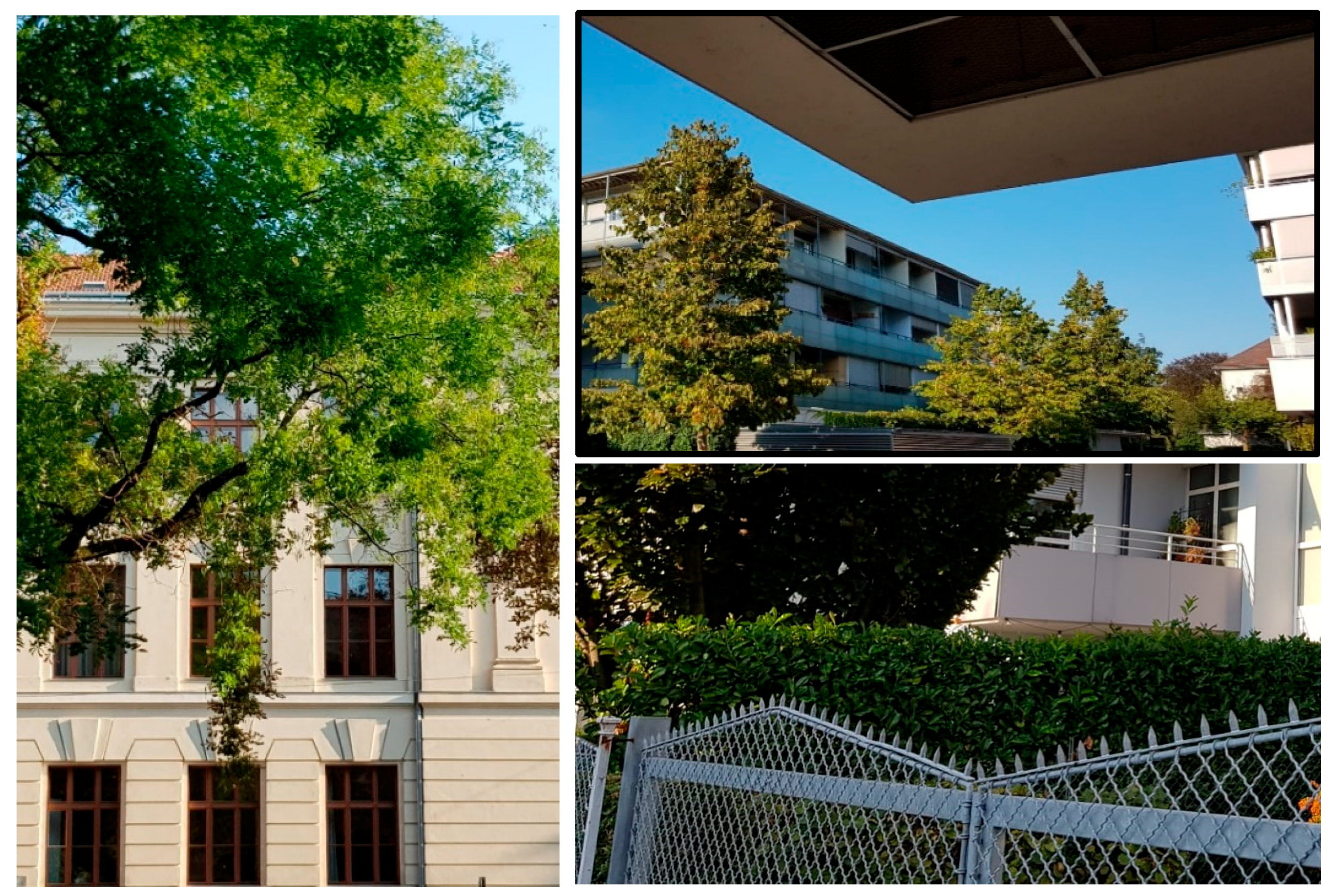 Sensors 20 05672 g011