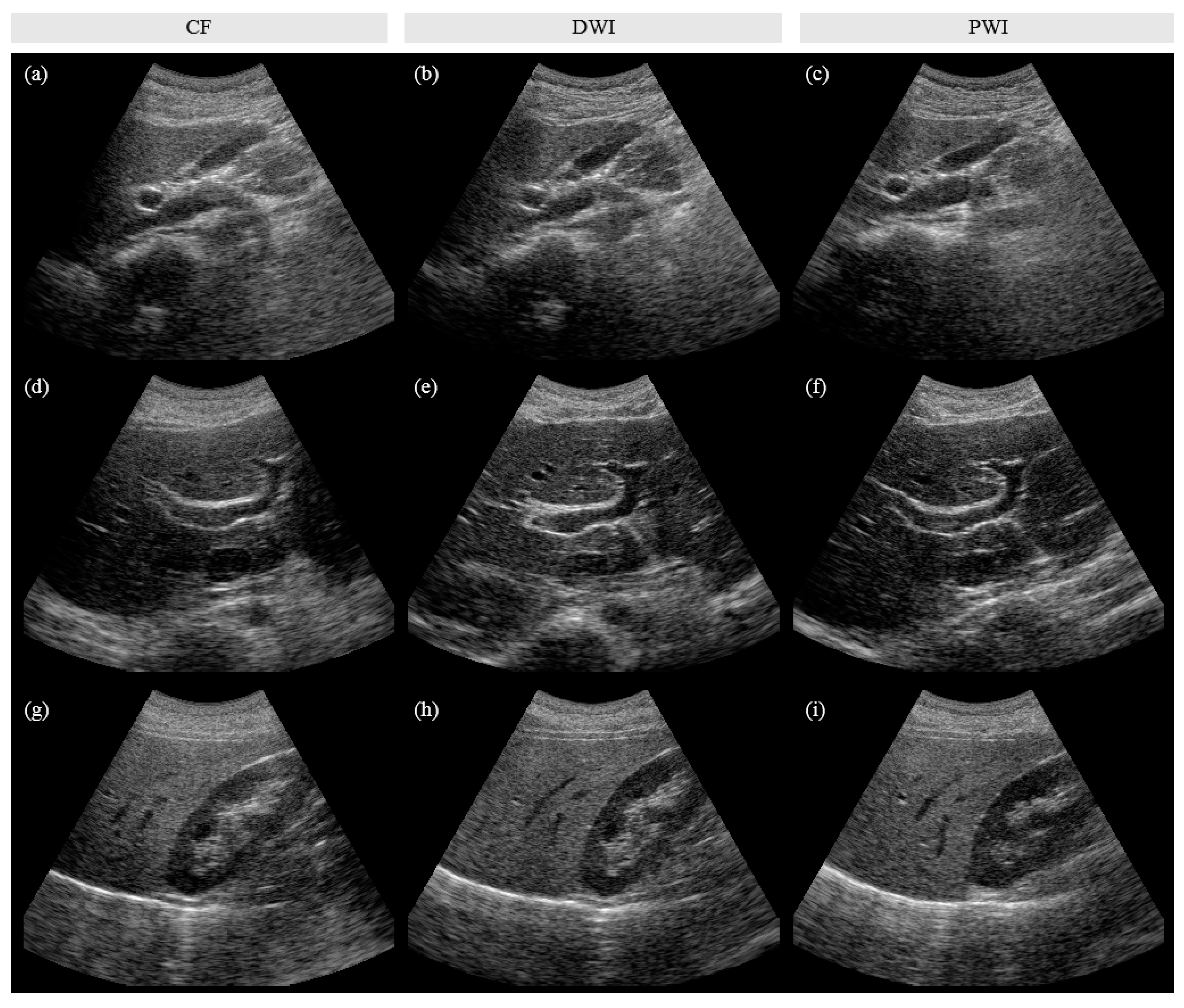Sensors 20 05675 g005
