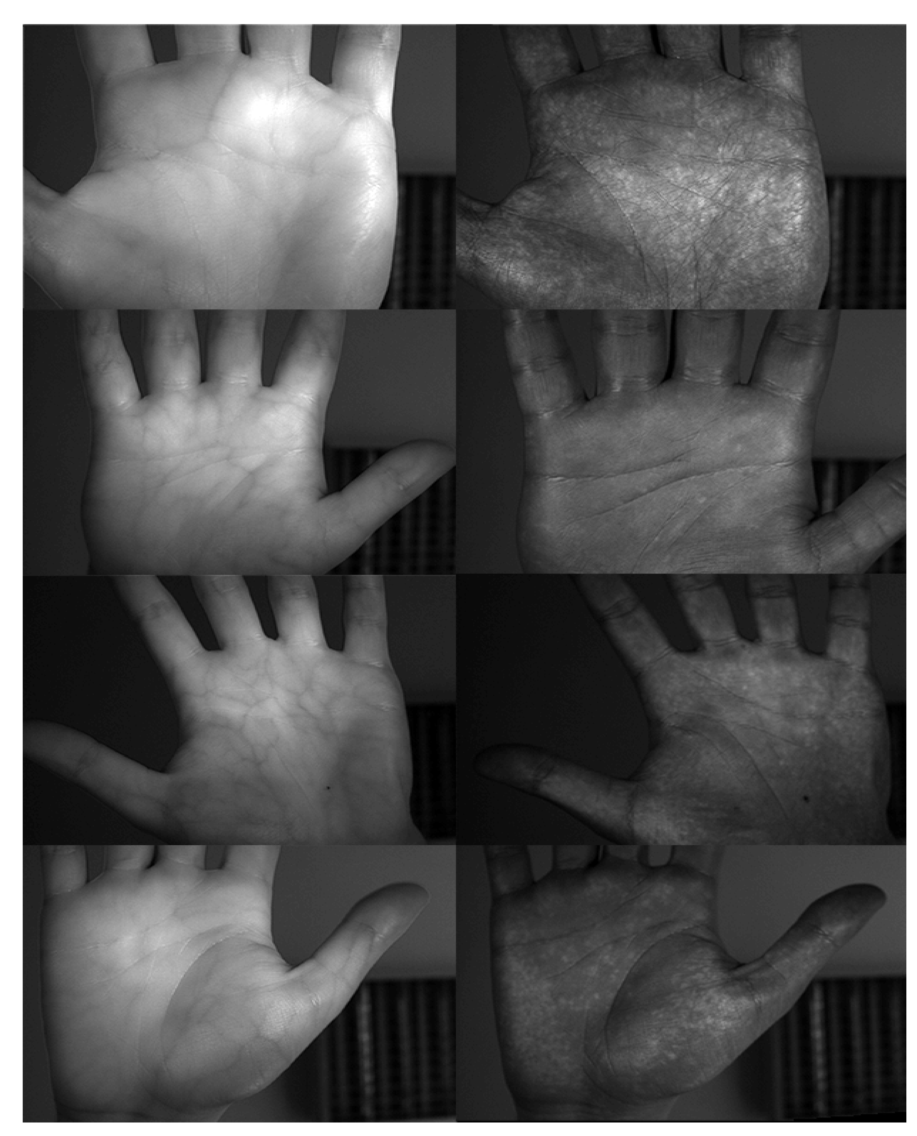 Sensors 20 05695 g003