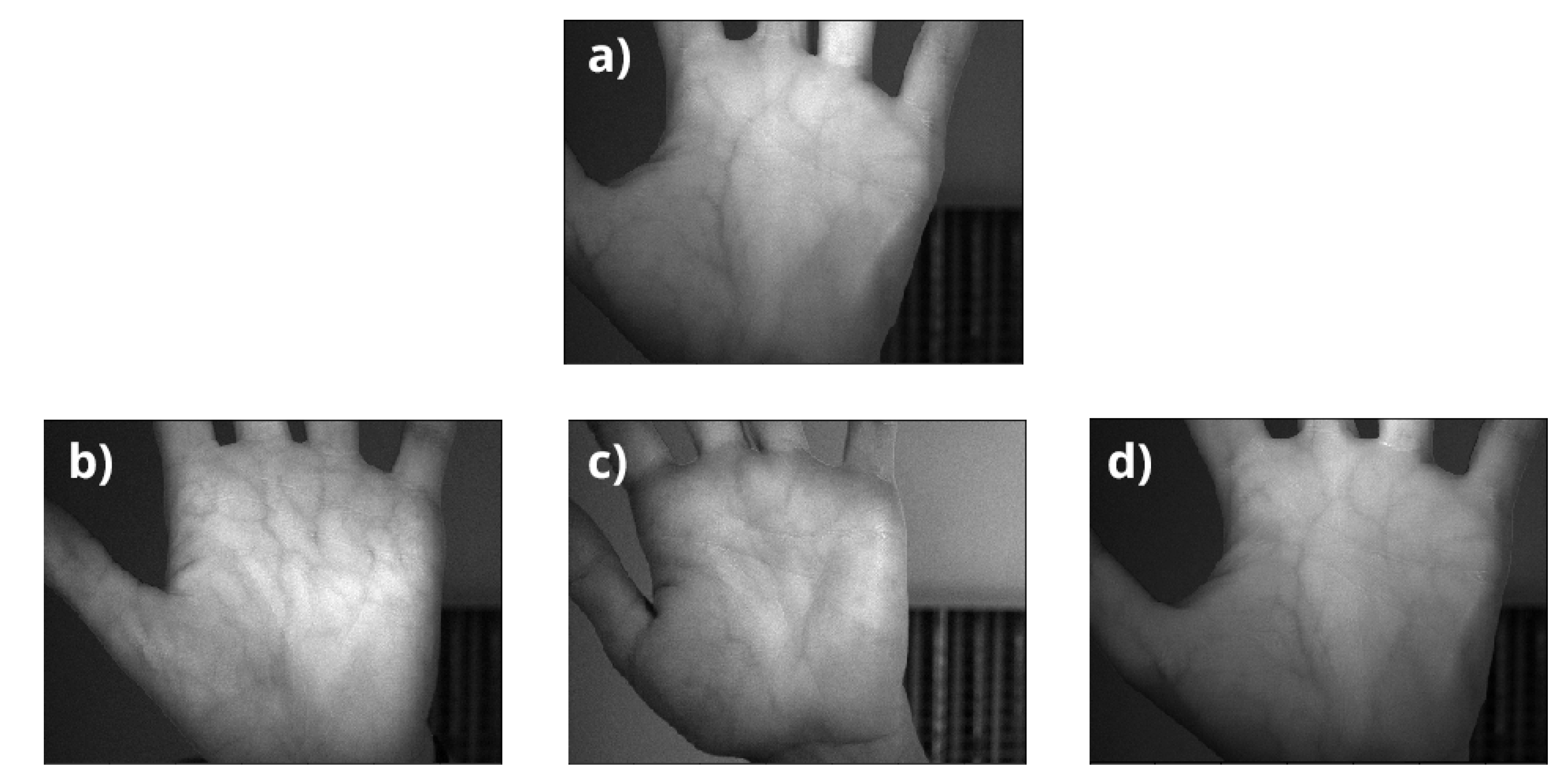 Sensors 20 05695 g005