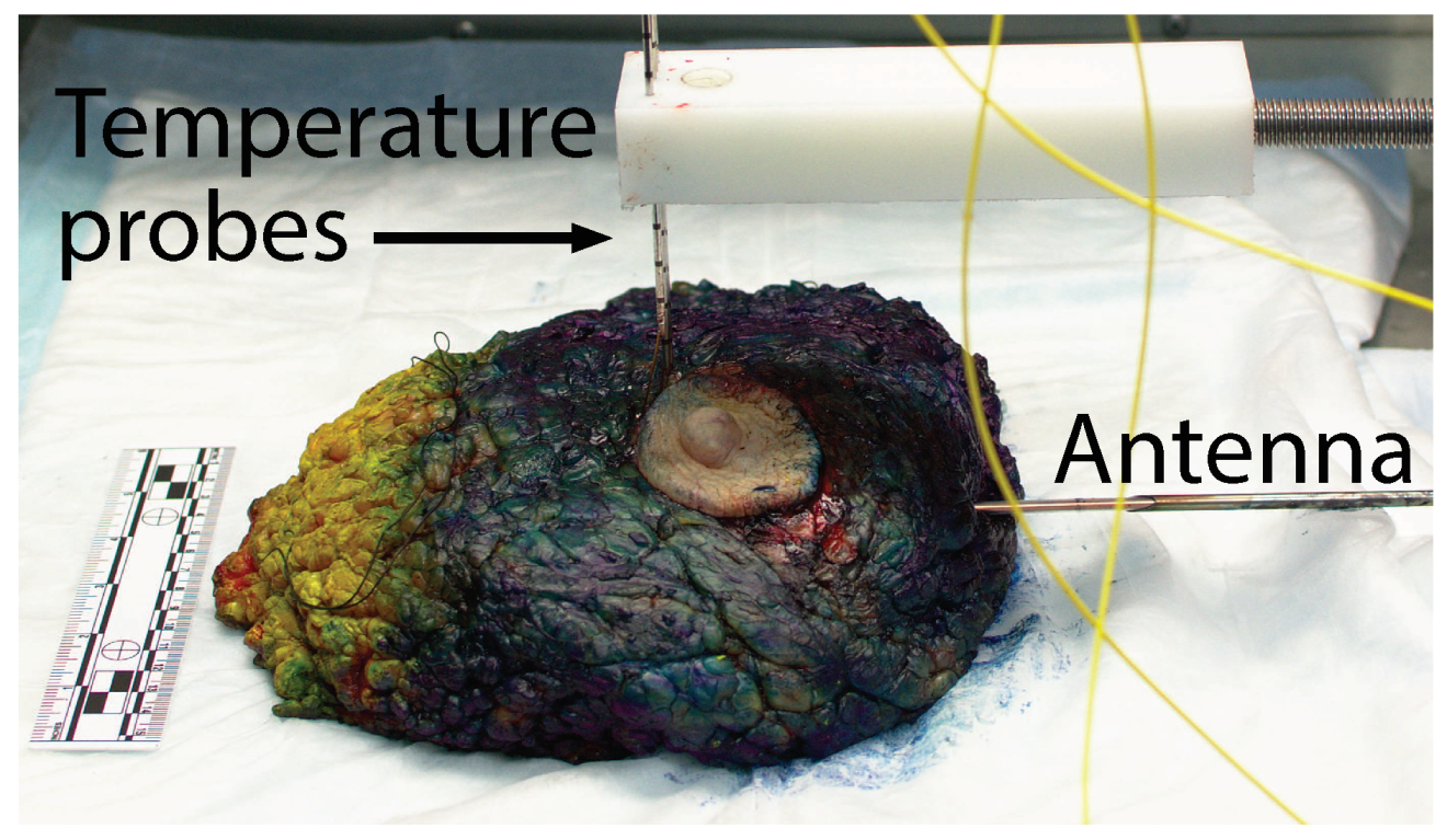 Sensors 20 05698 g002