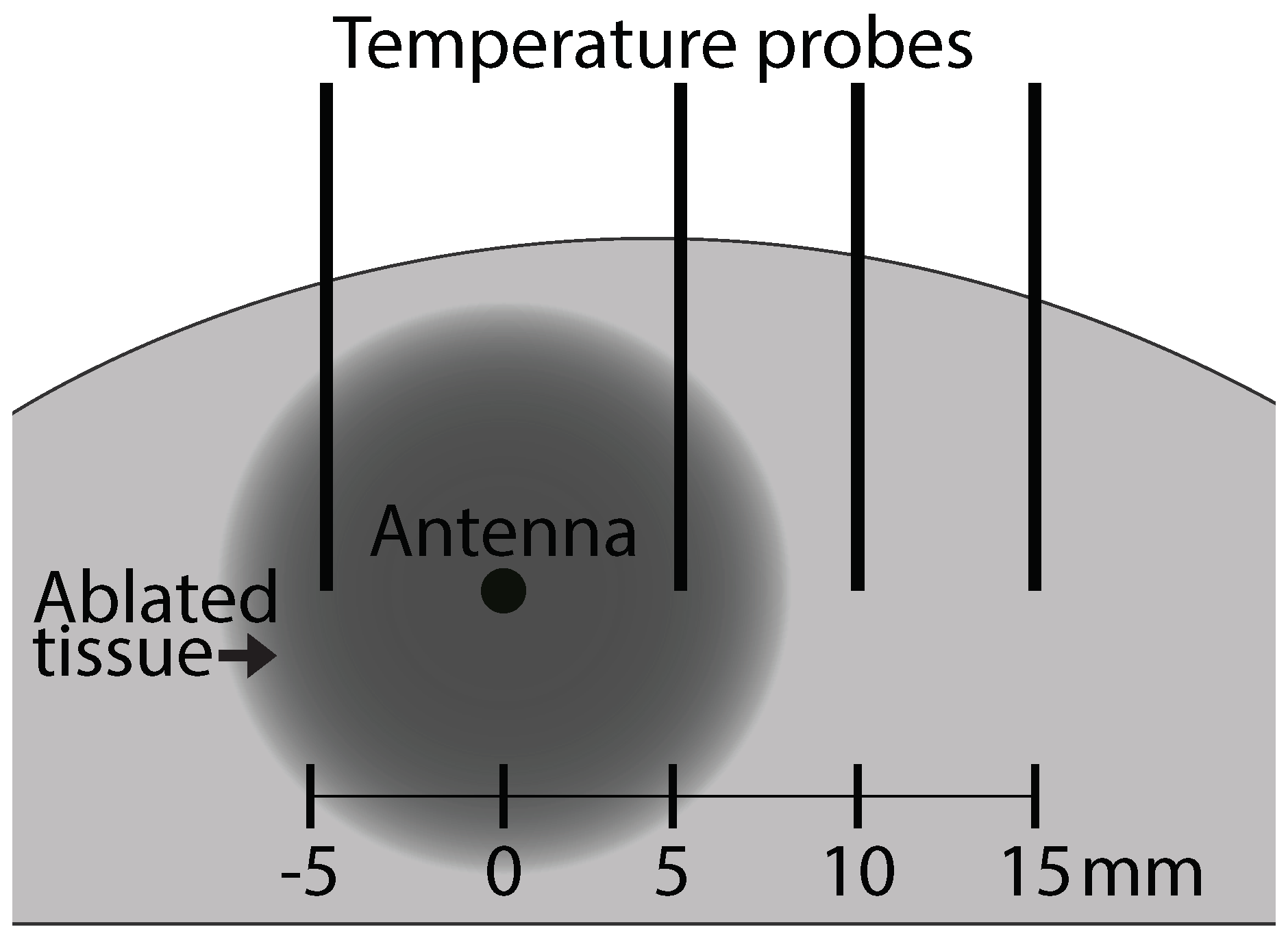 Sensors 20 05698 g003
