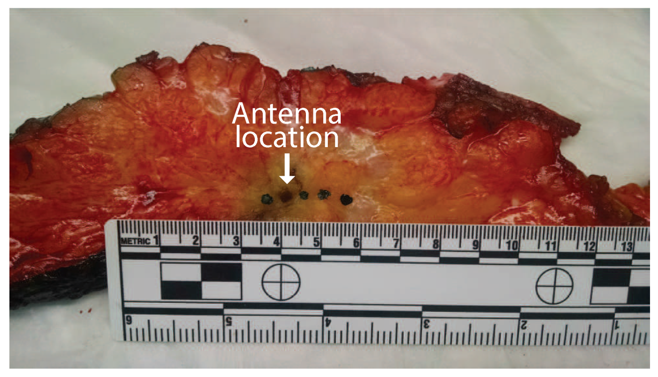 Sensors 20 05698 g005