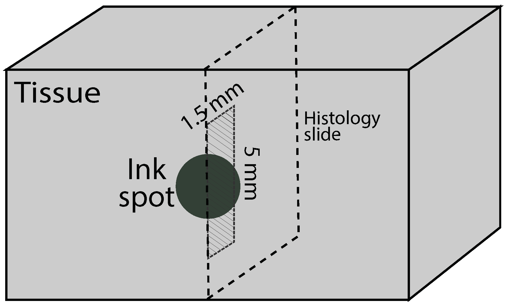 Sensors 20 05698 g006