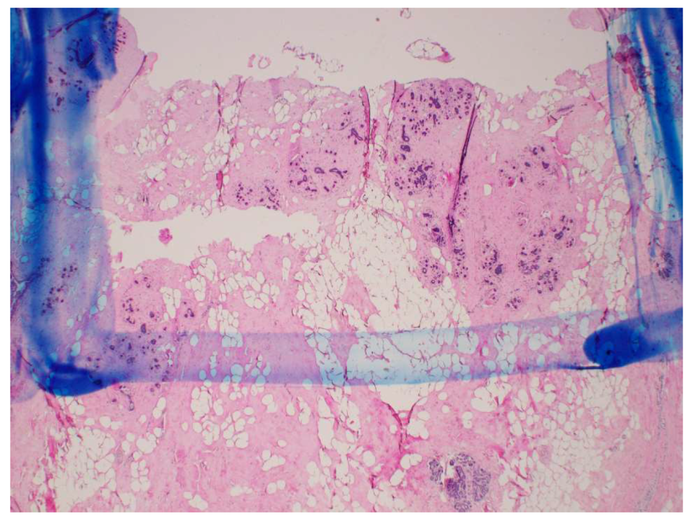 Sensors 20 05698 g007