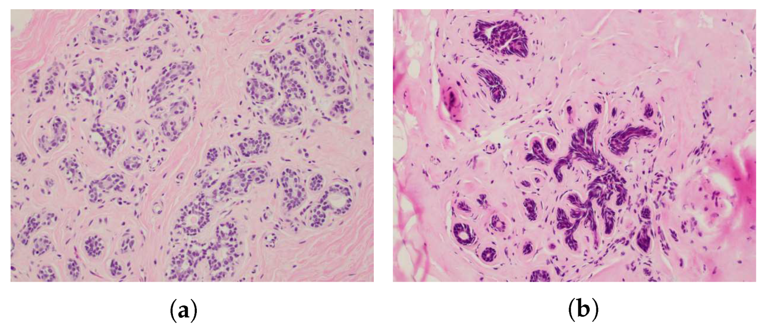 Sensors 20 05698 g010