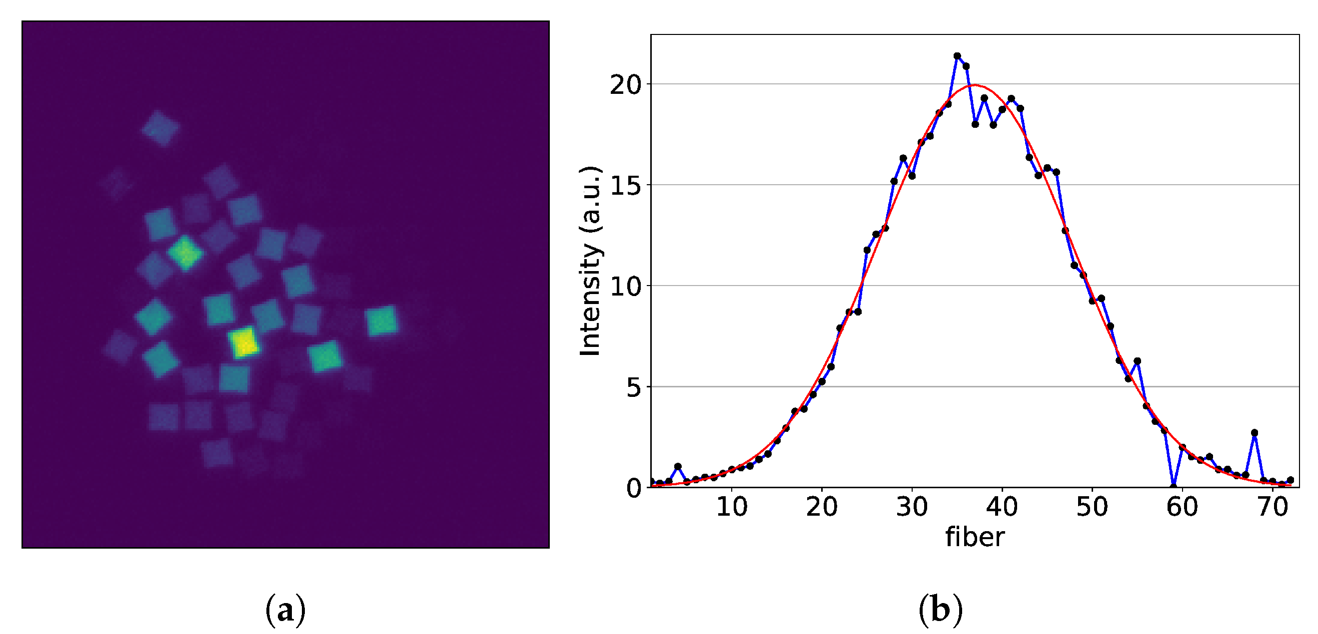 Sensors 20 05727 g005