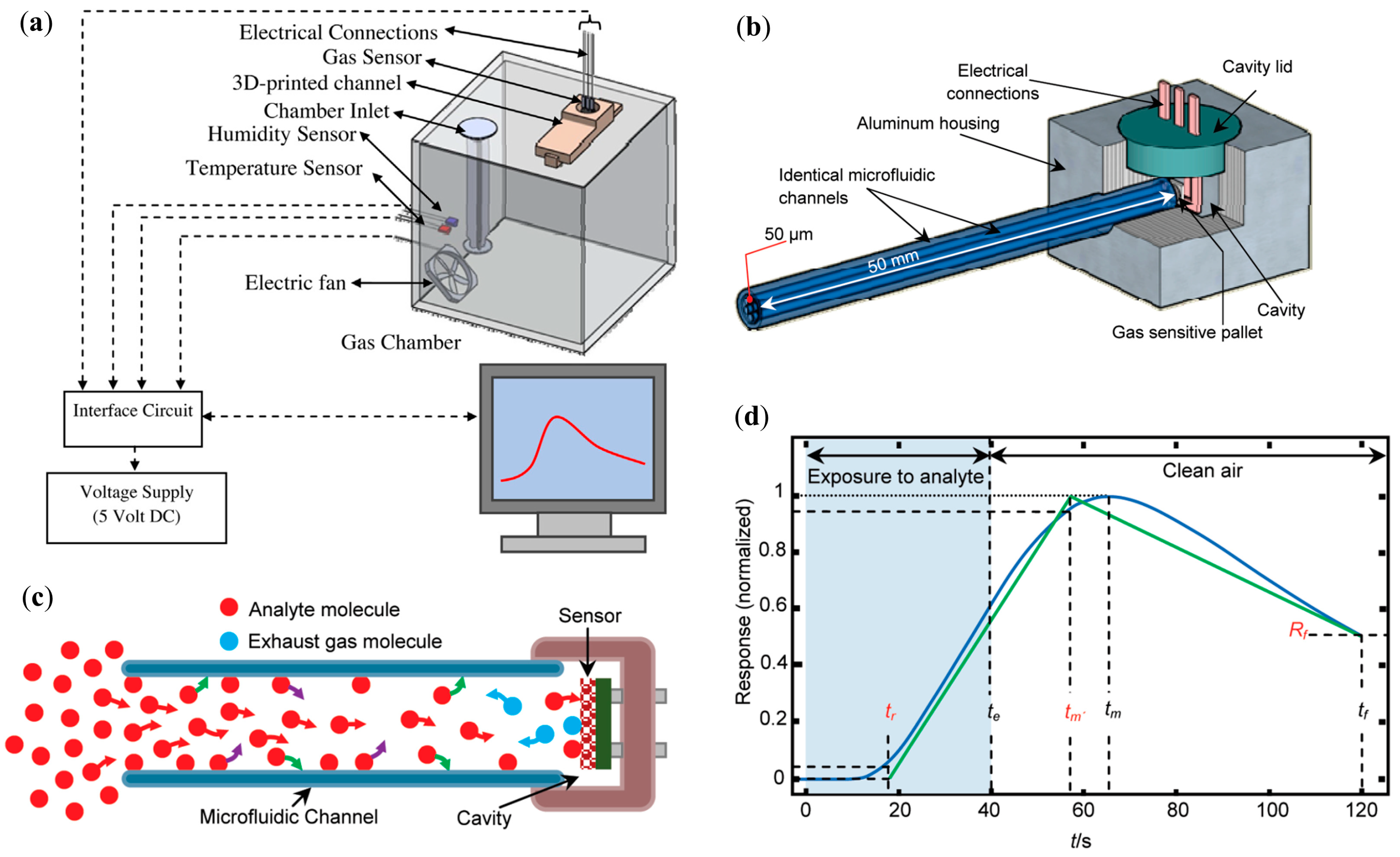Sensors 20 05742 g001