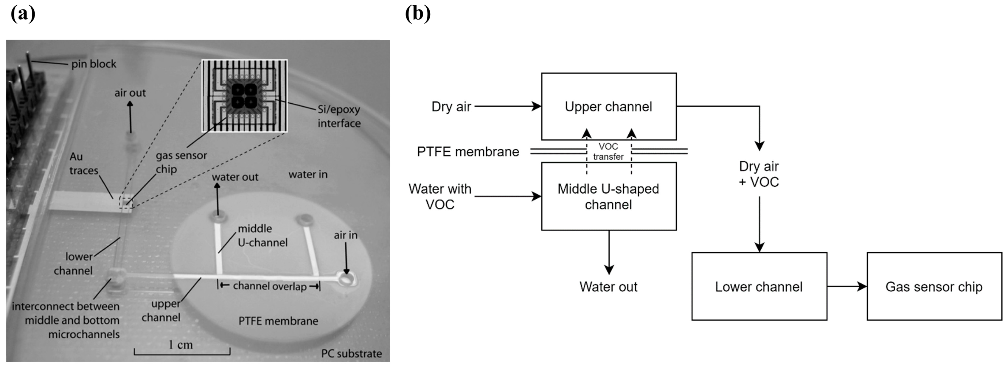 Sensors 20 05742 g003