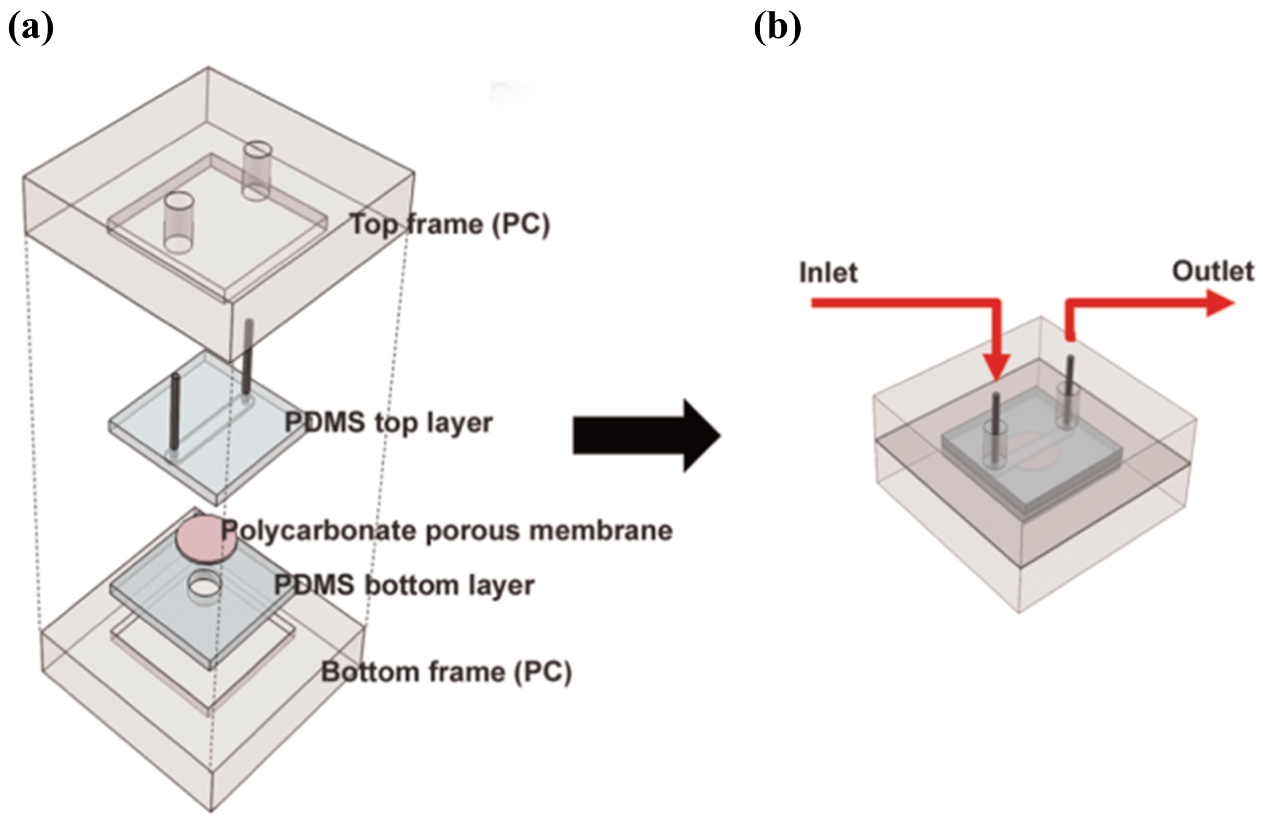 Sensors 20 05742 g012