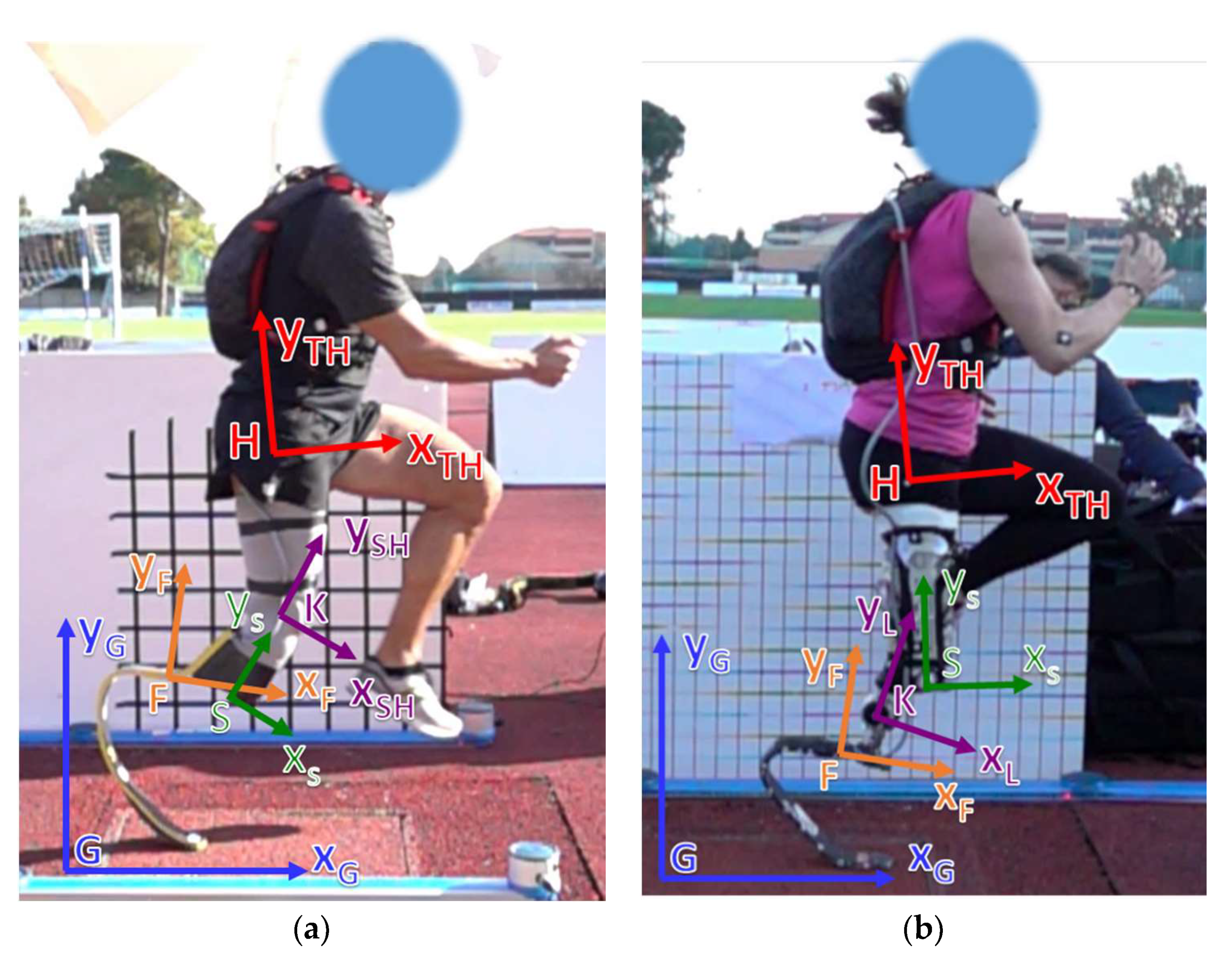 Sensors 20 05758 g002