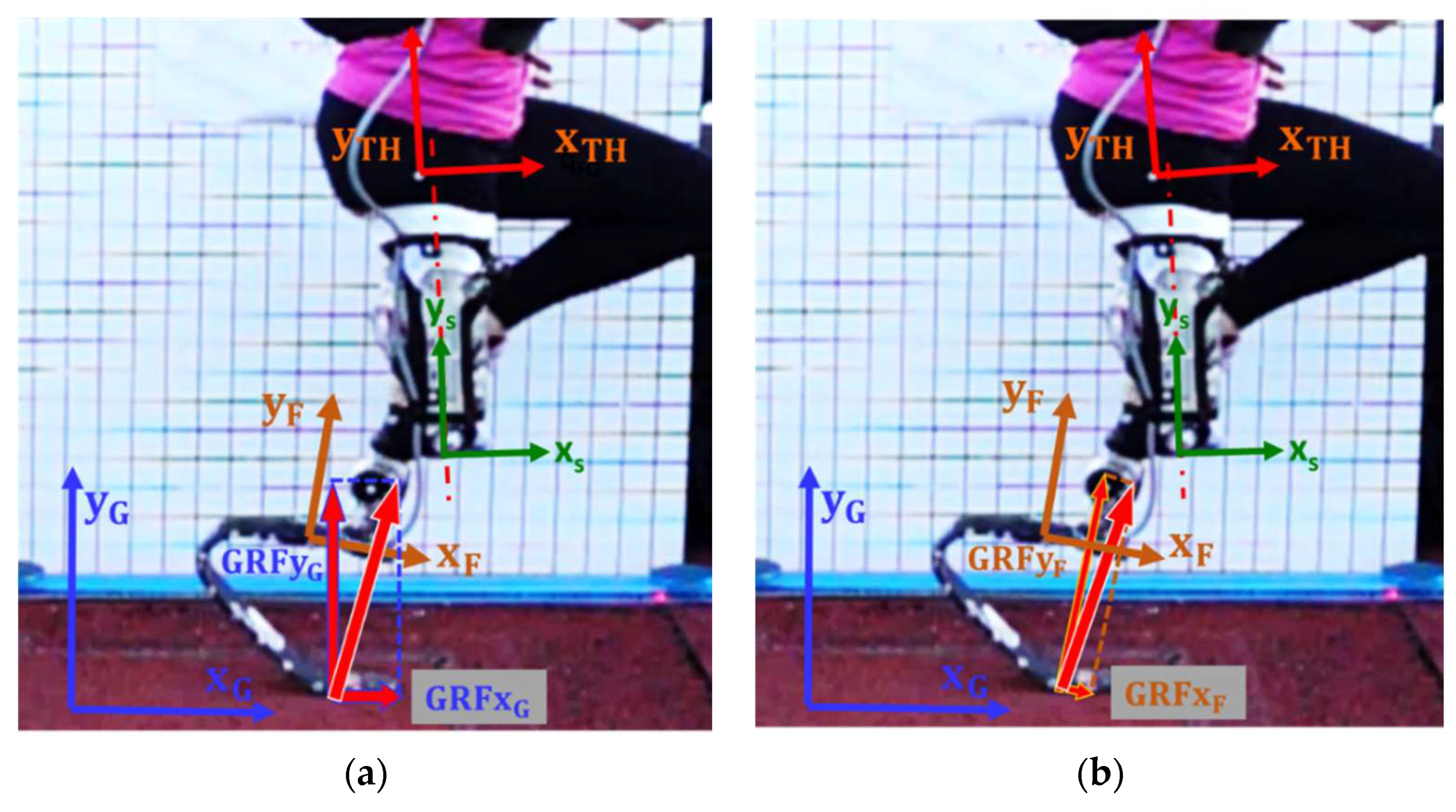 Sensors 20 05758 g003
