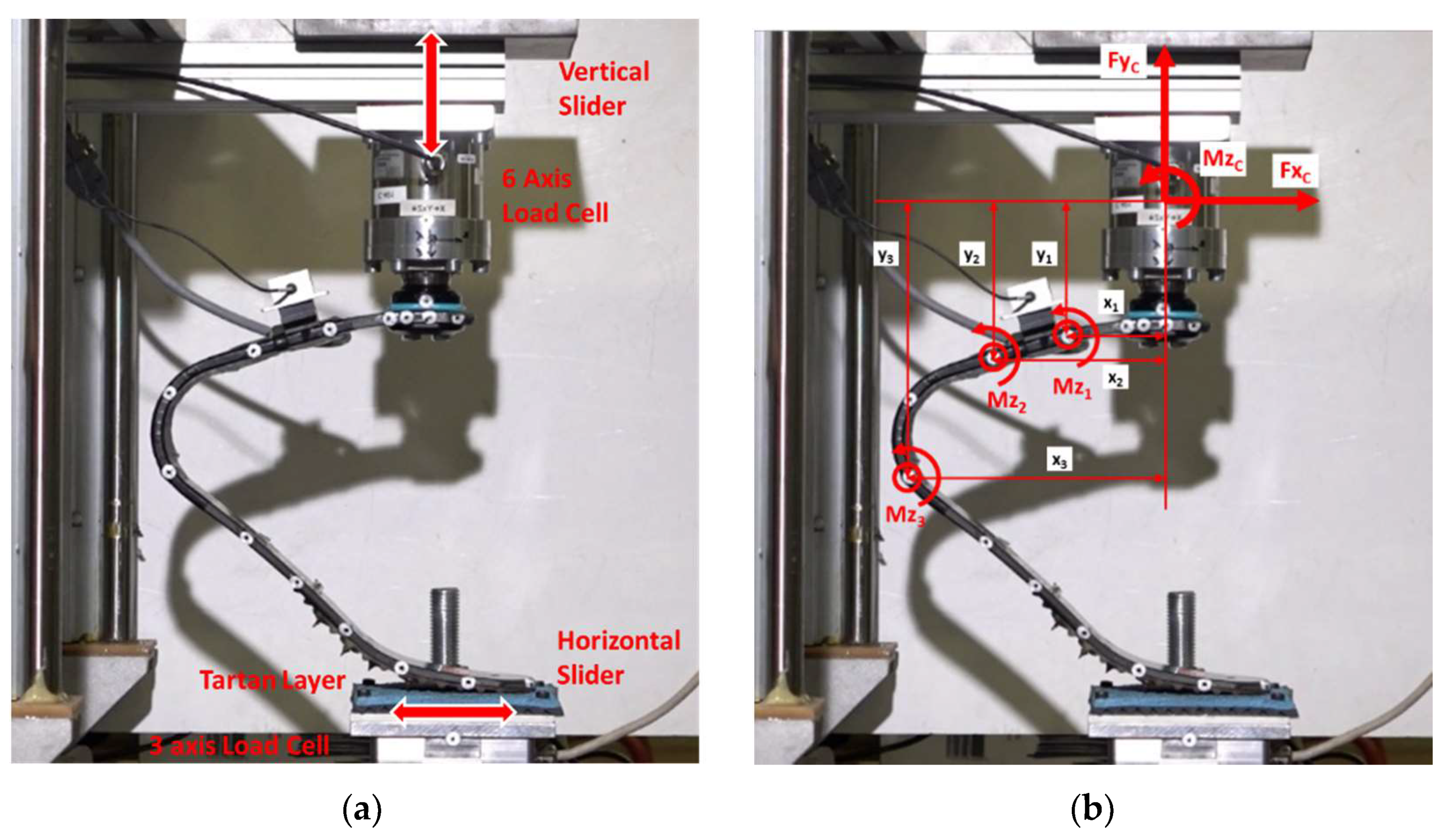 Sensors 20 05758 g006