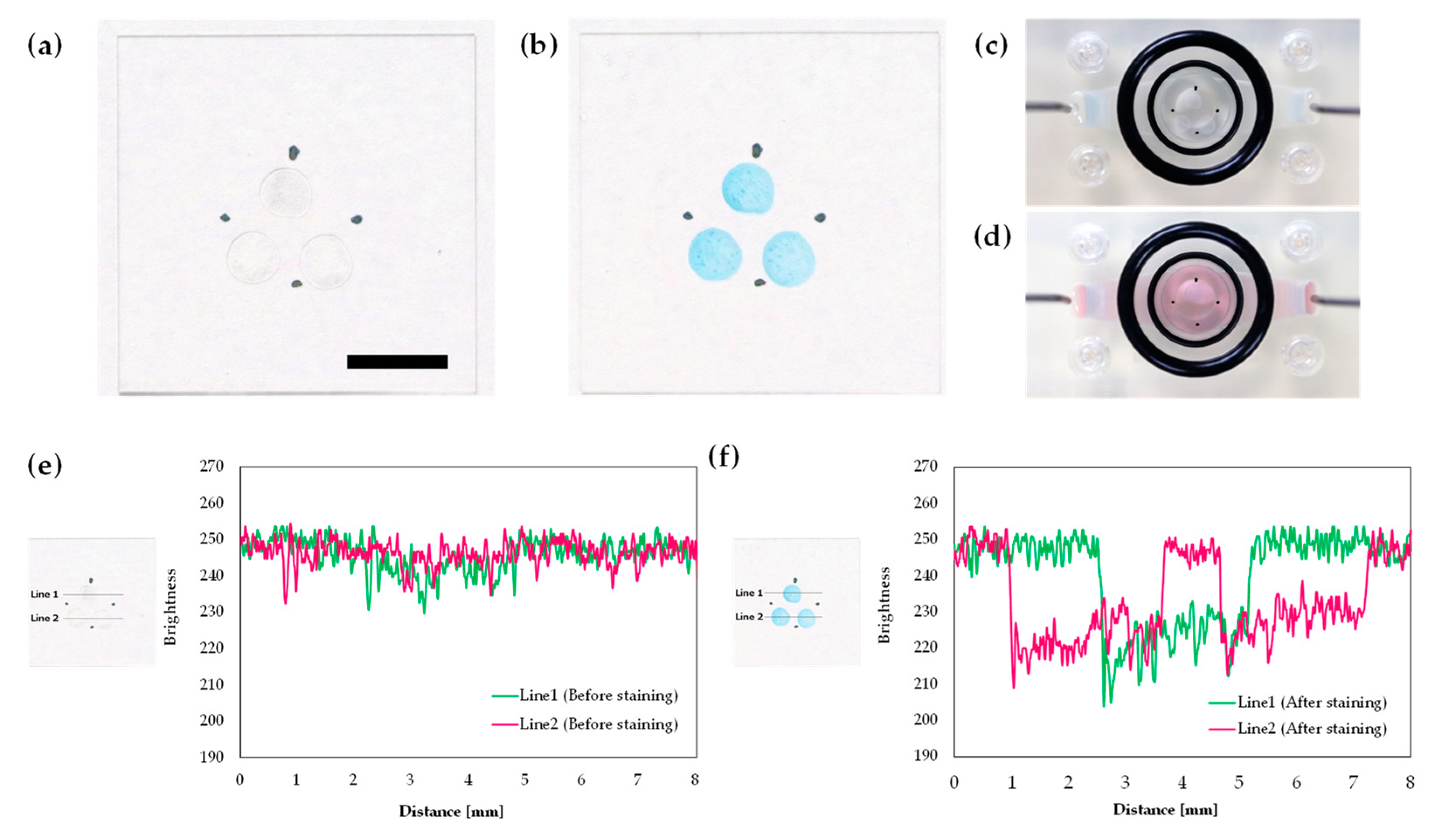 Sensors 20 05779 g007