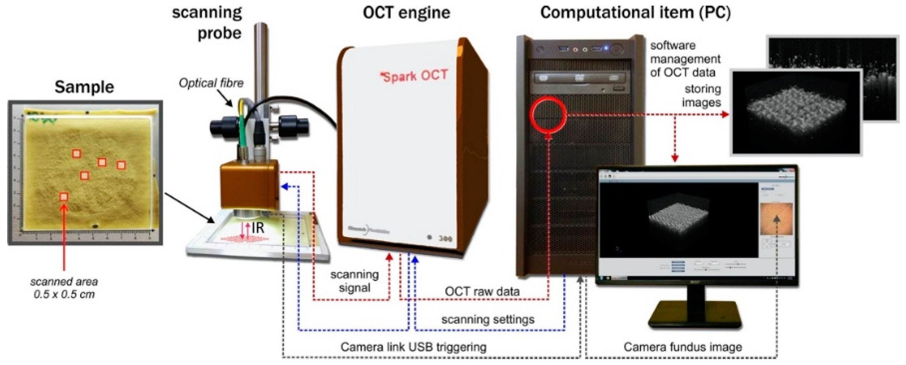 Sensors 20 05832 g005