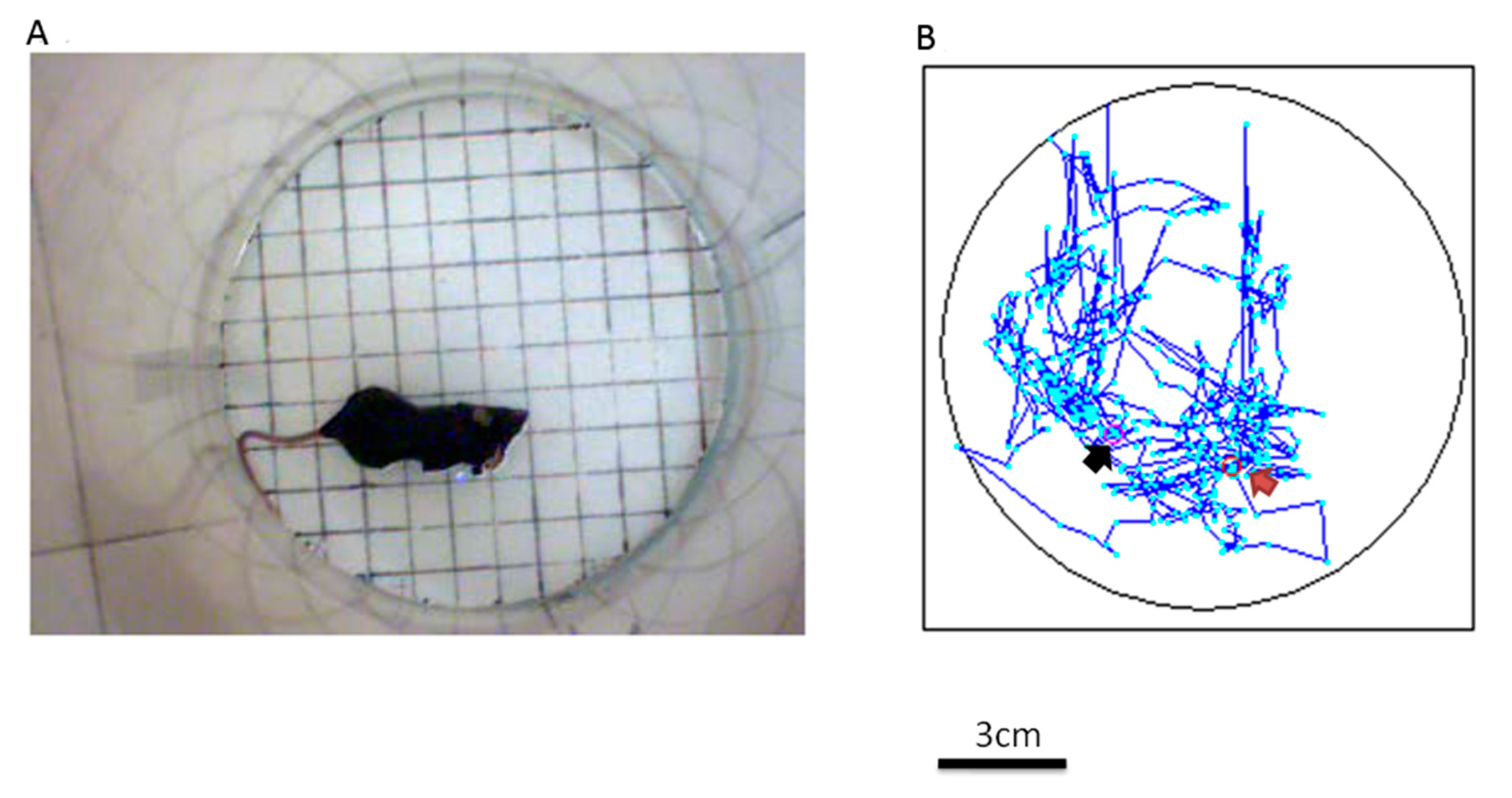 Sensors 20 05869 g004