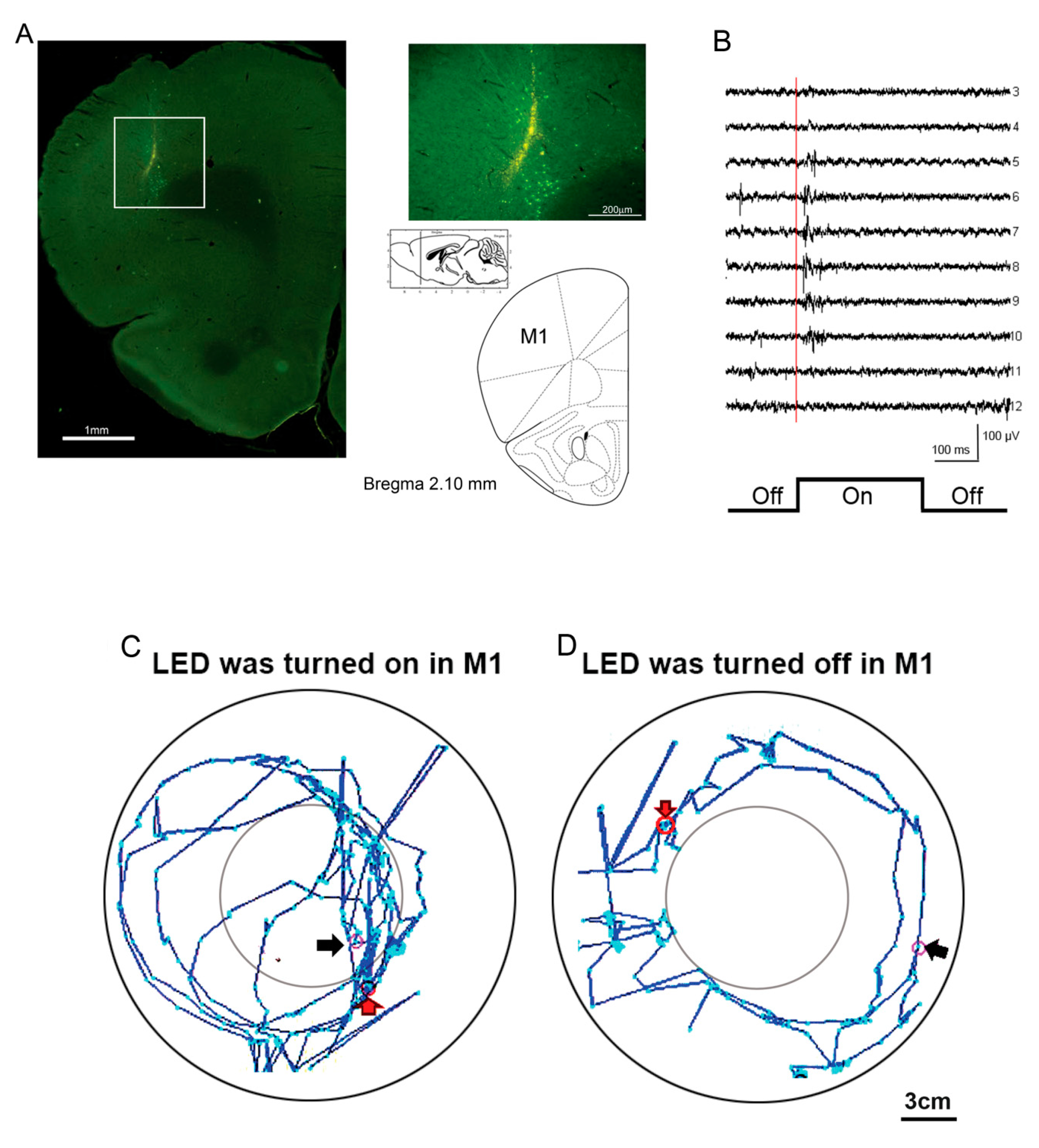 Sensors 20 05869 g005