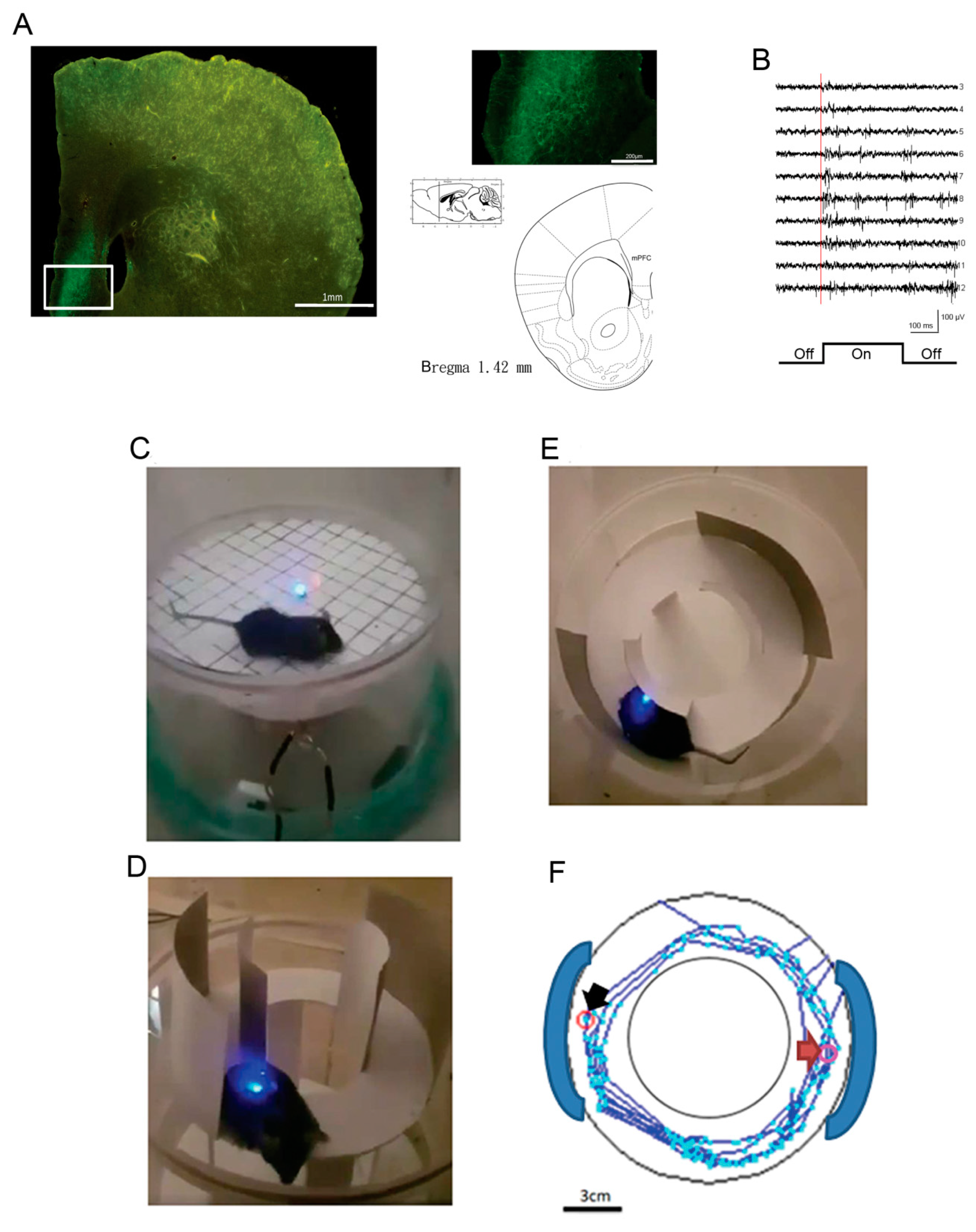Sensors 20 05869 g006