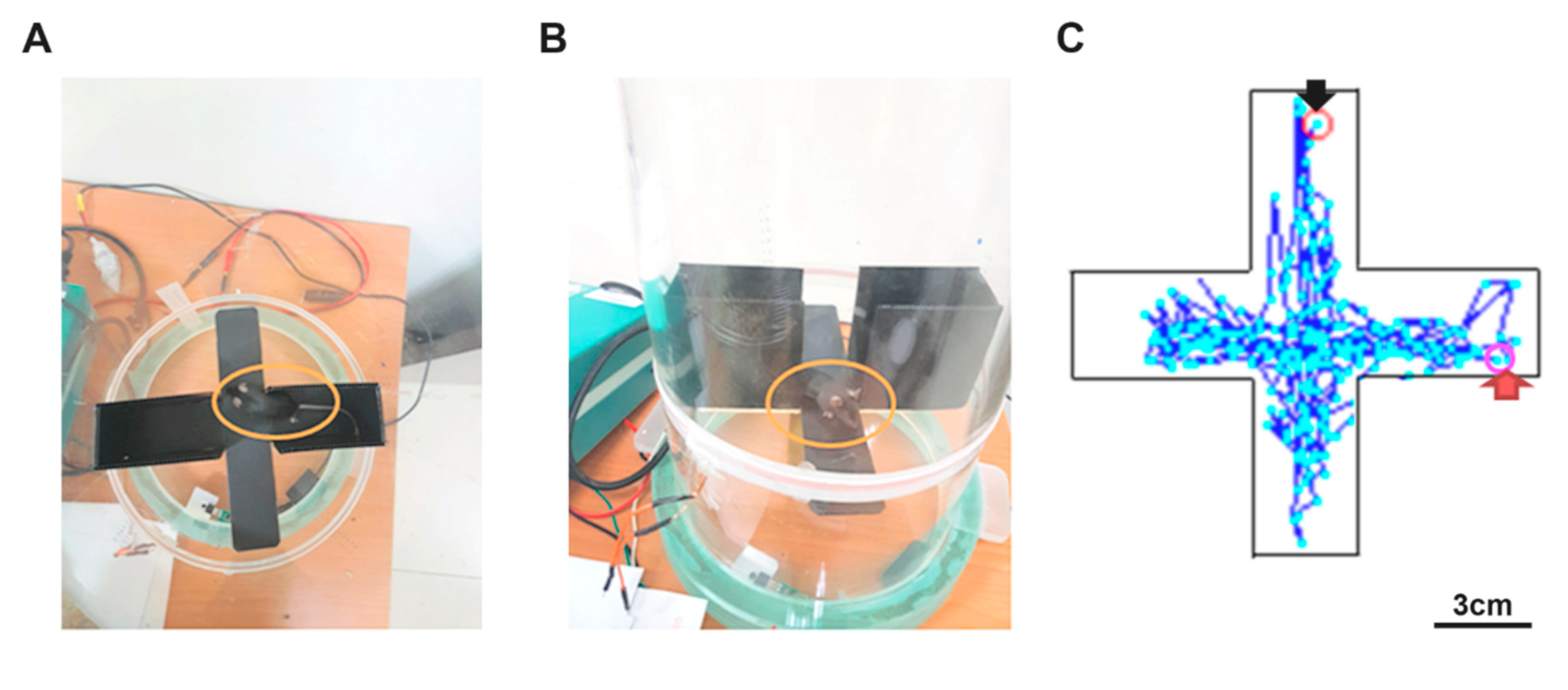 Sensors 20 05869 g007