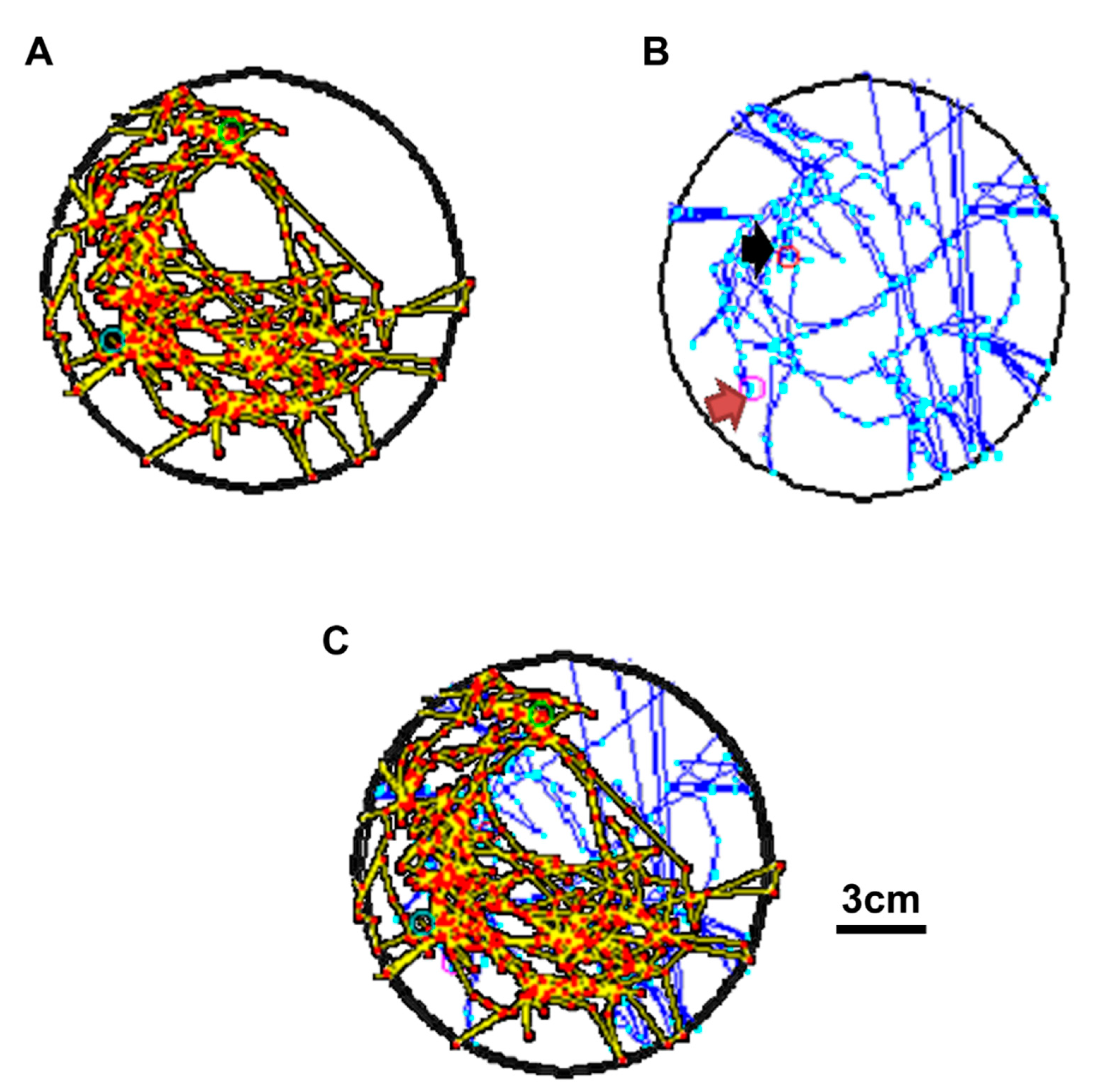 Sensors 20 05869 g011