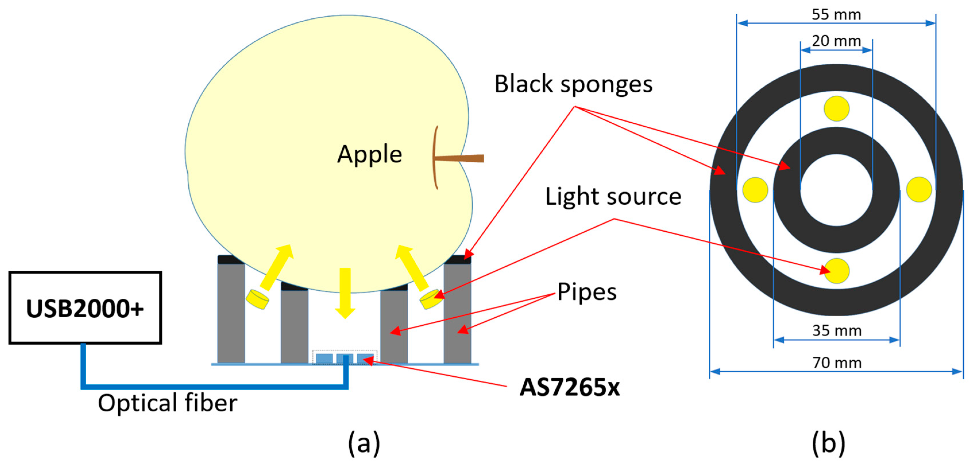 Sensors 20 05883 g001