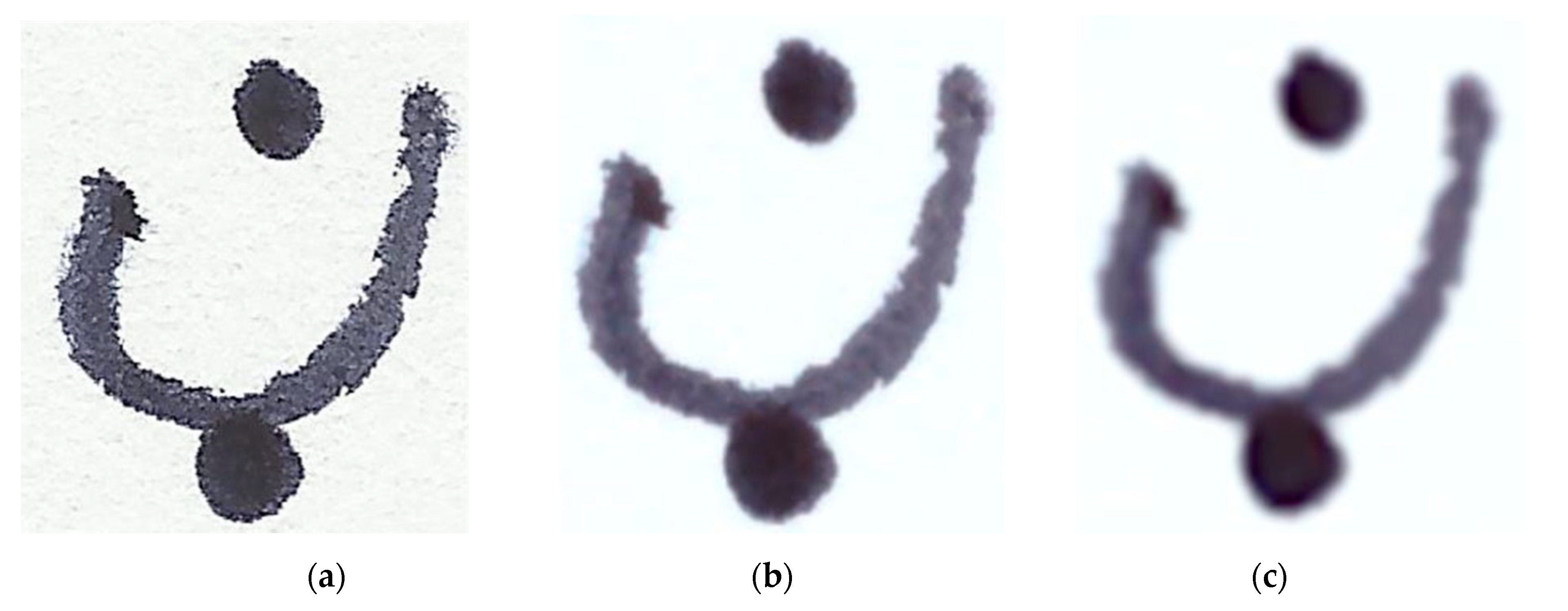 Sensors 20 05884 g003