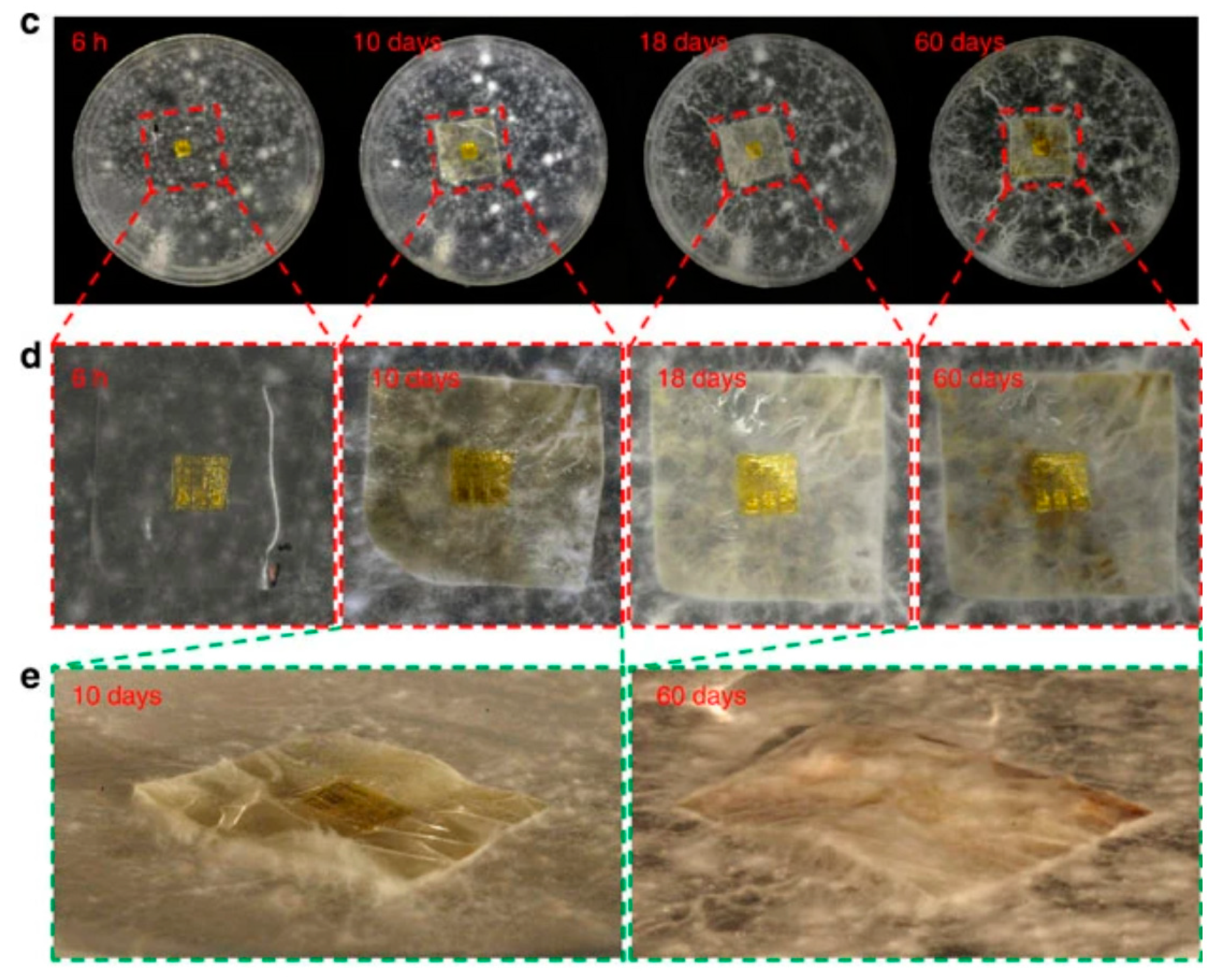 Sensors 20 05898 g003b
