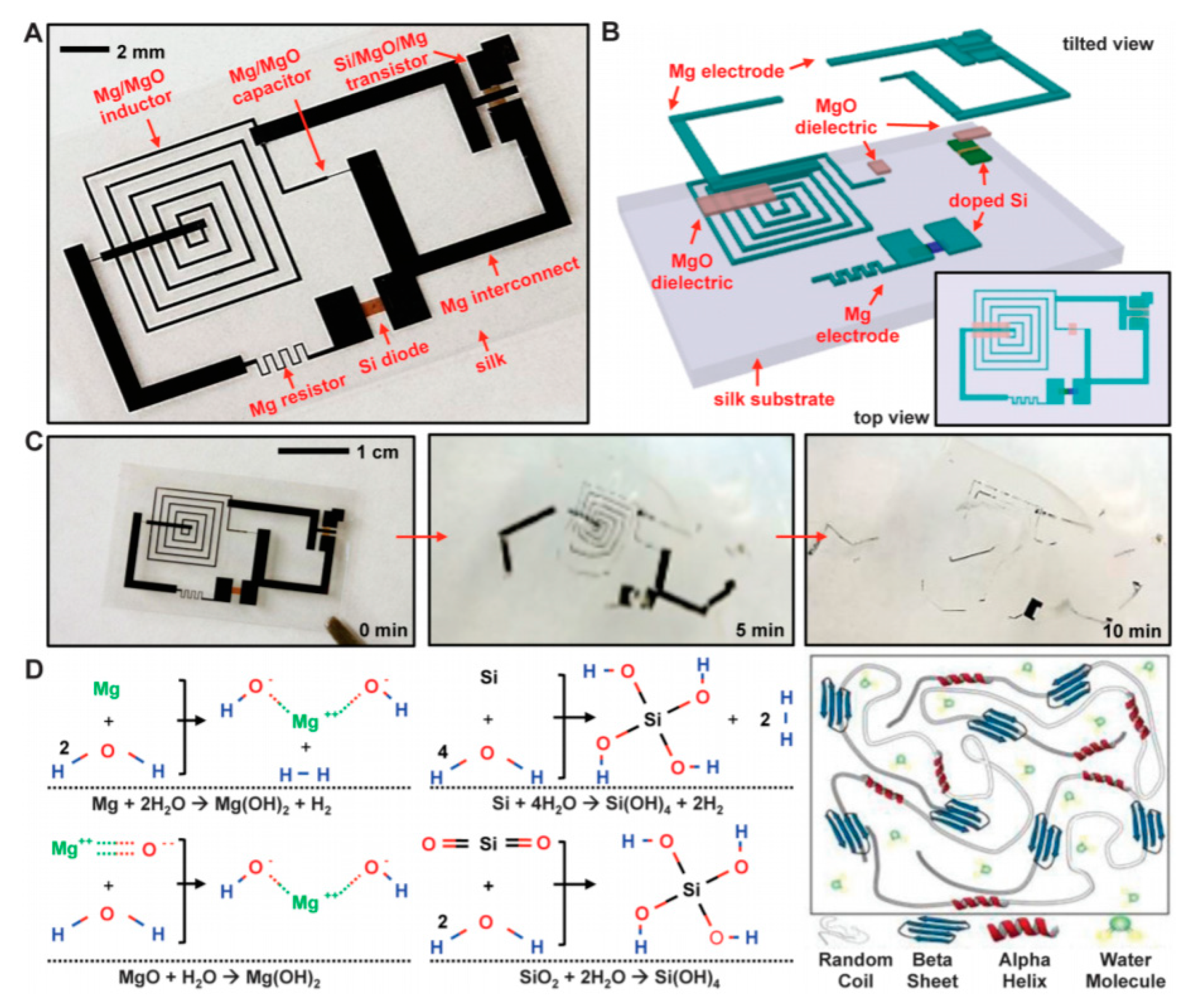 Sensors 20 05898 g007