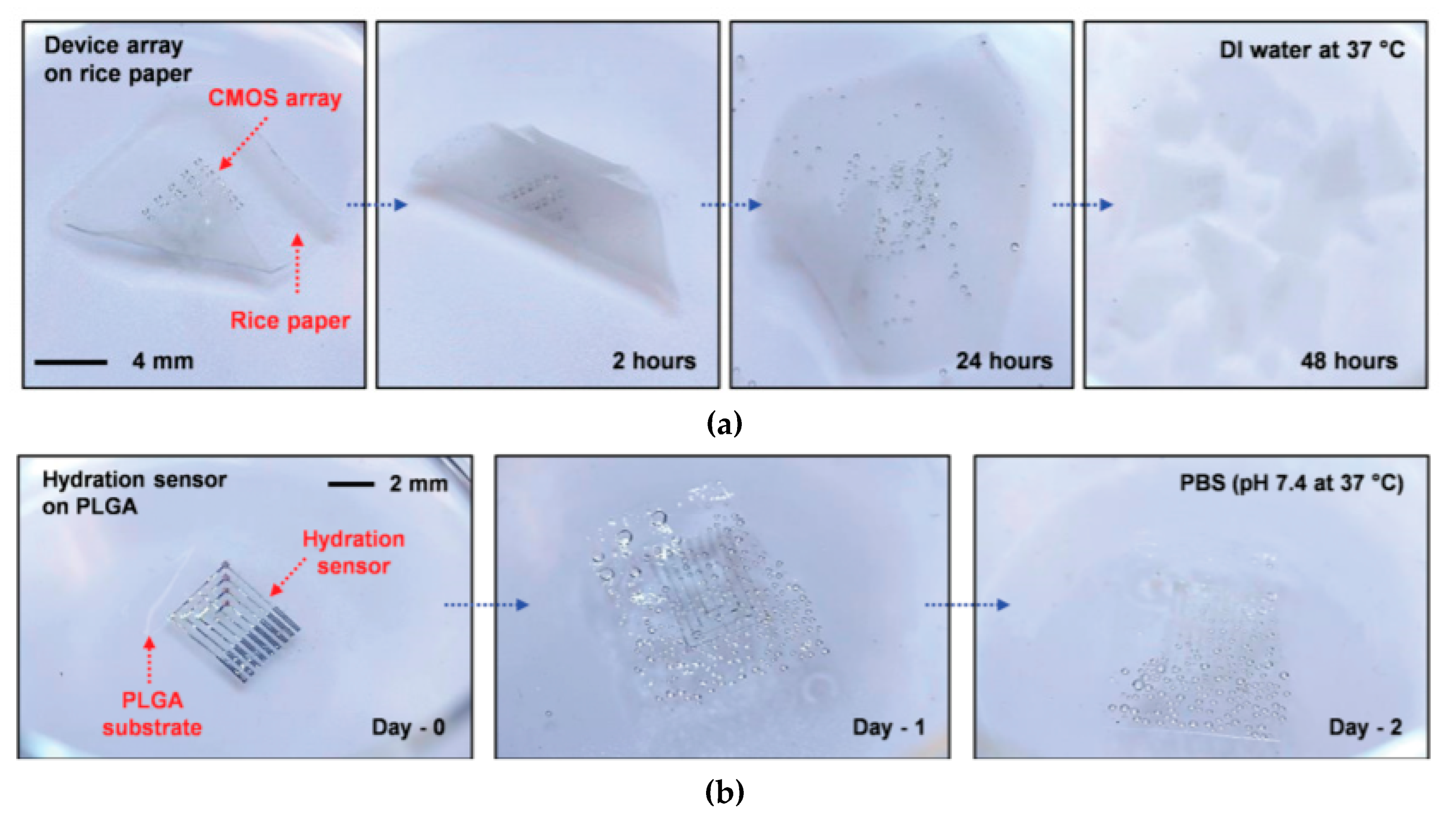 Sensors 20 05898 g009