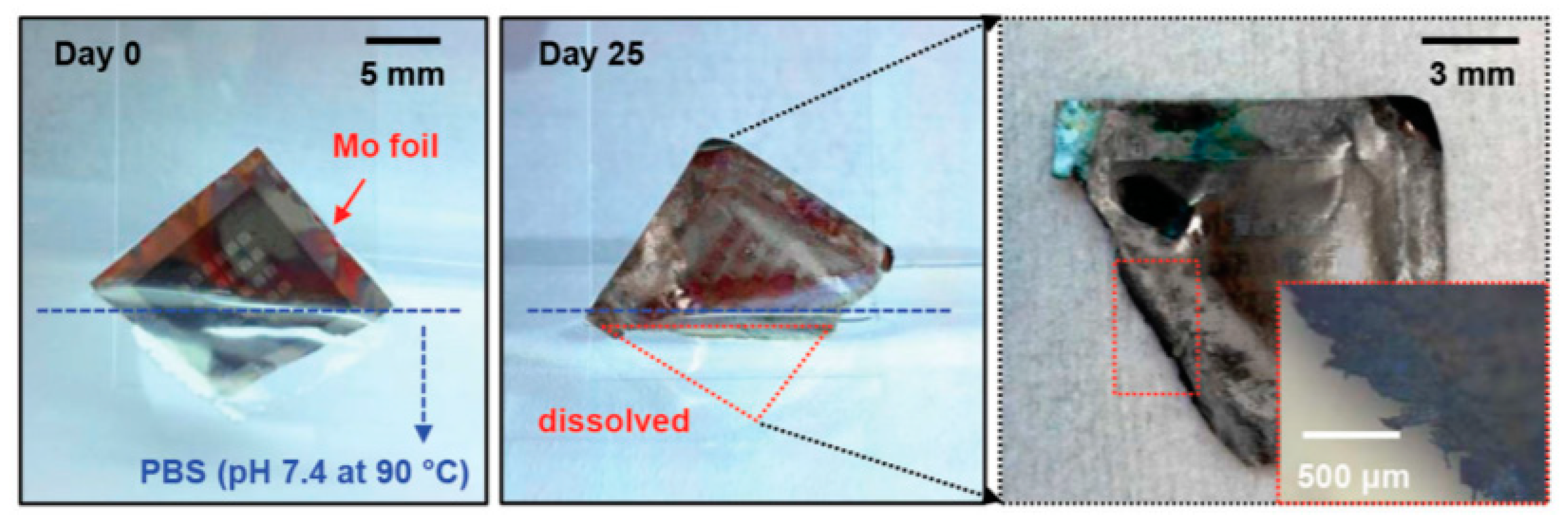 Sensors 20 05898 g012