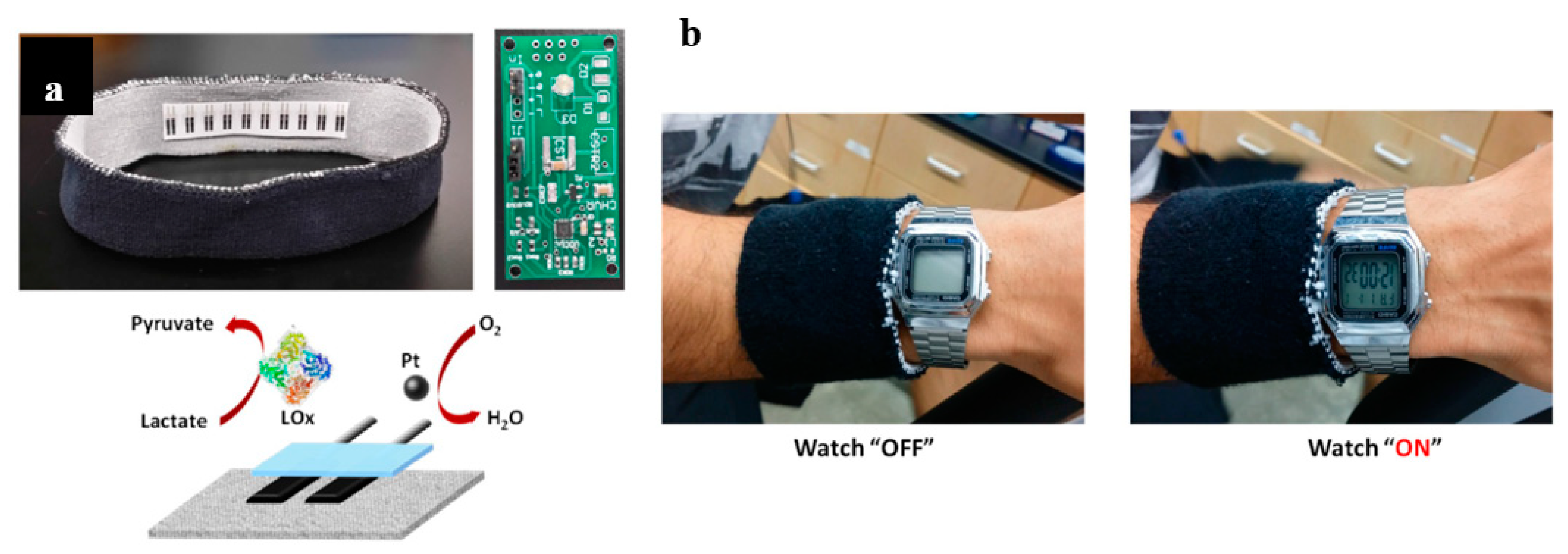 Sensors 20 05898 g032