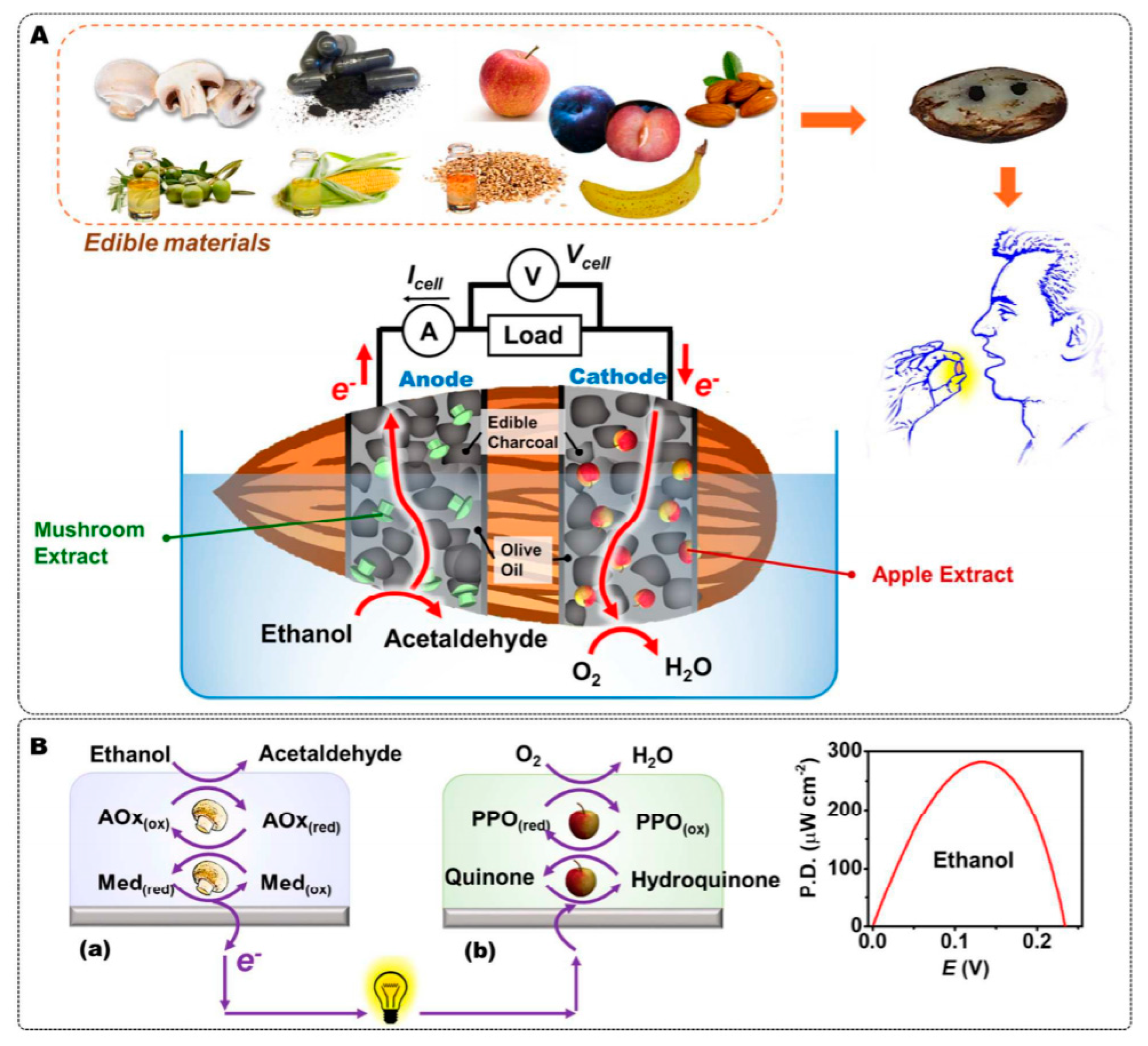 Sensors 20 05898 g034